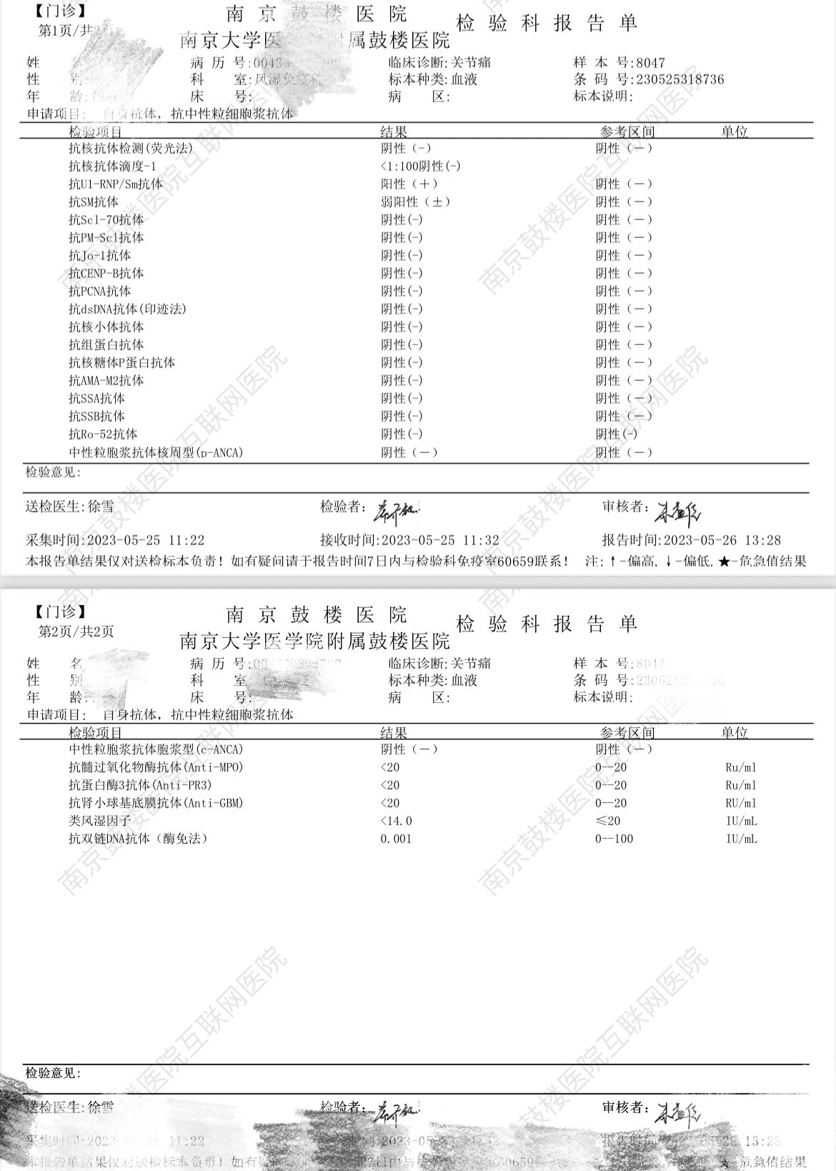 抗核抗体 免疫指标