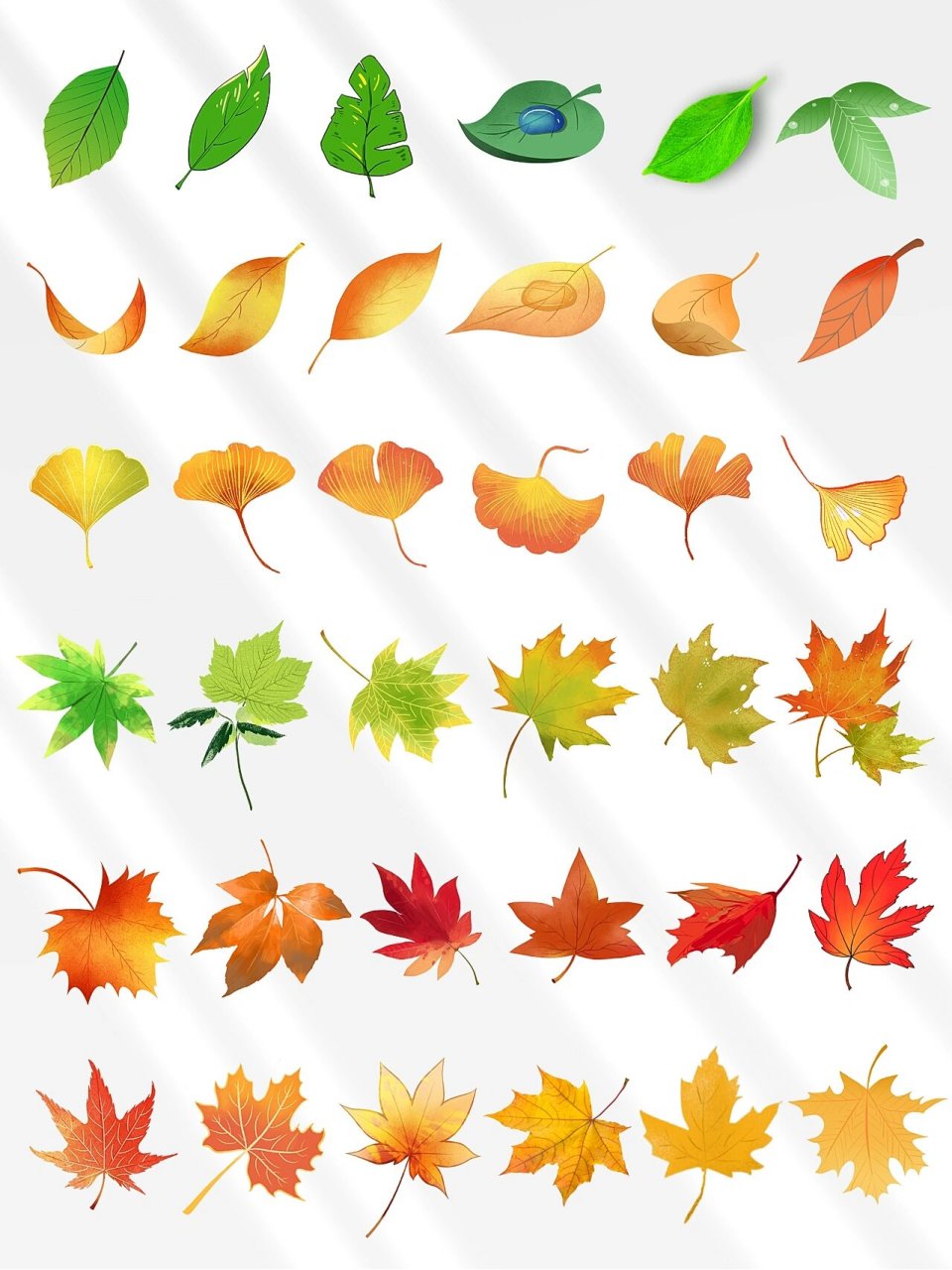 54款秋天落叶素材|93枫叶银杏叶|也太美了吧 97 今日分享『秋天