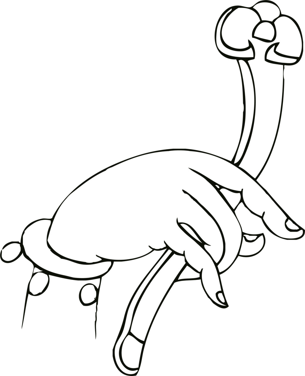 佛手线描·白描国画专业参考素材资料稿·壹 底稿/线描/白描/传统绘画