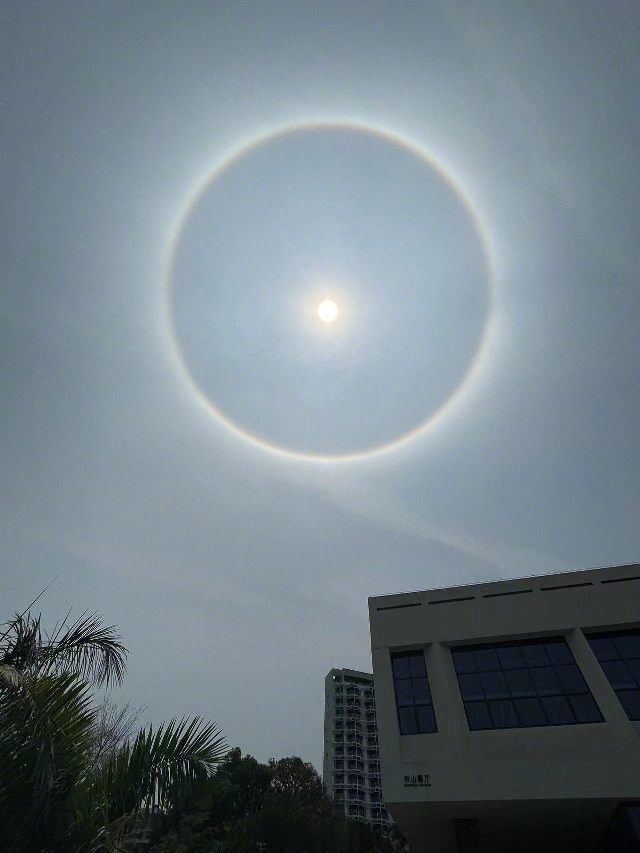 最美人间四月天 4月10日广东多地出现日晕