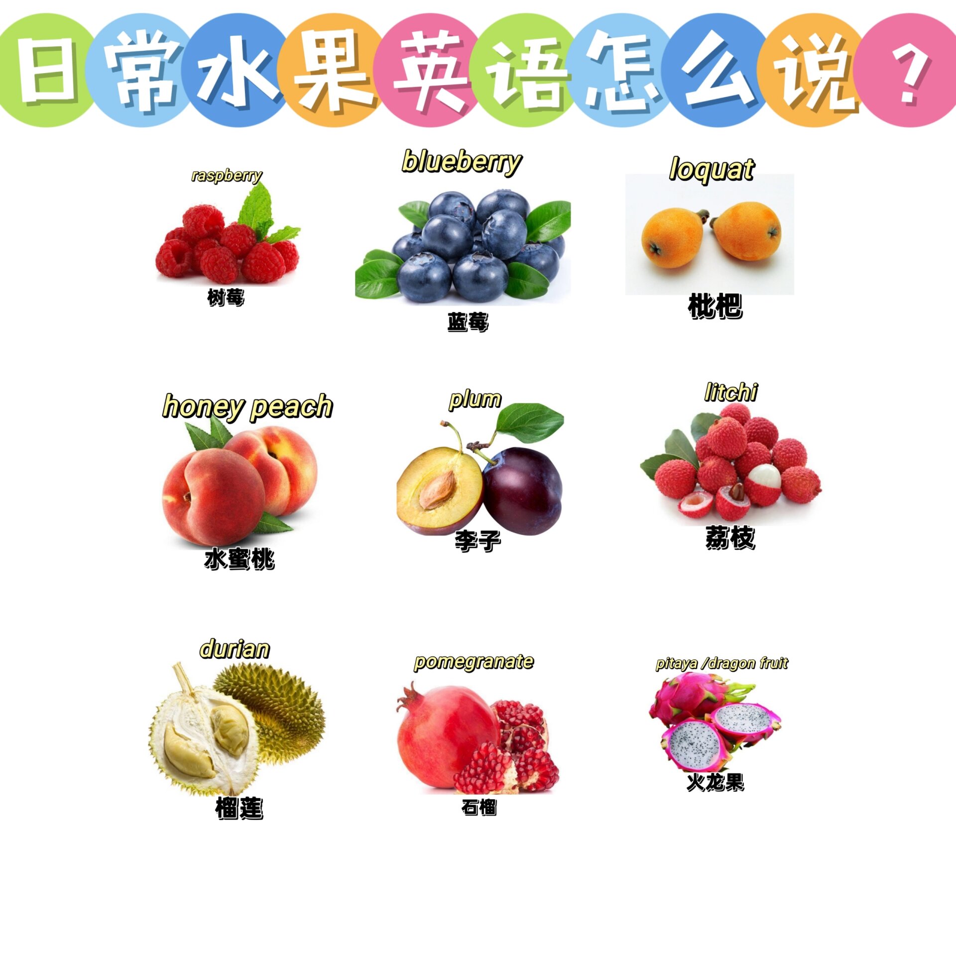 raspberry 蓝莓 blueberry 枇杷 loquat 水蜜桃 honey peach 李子