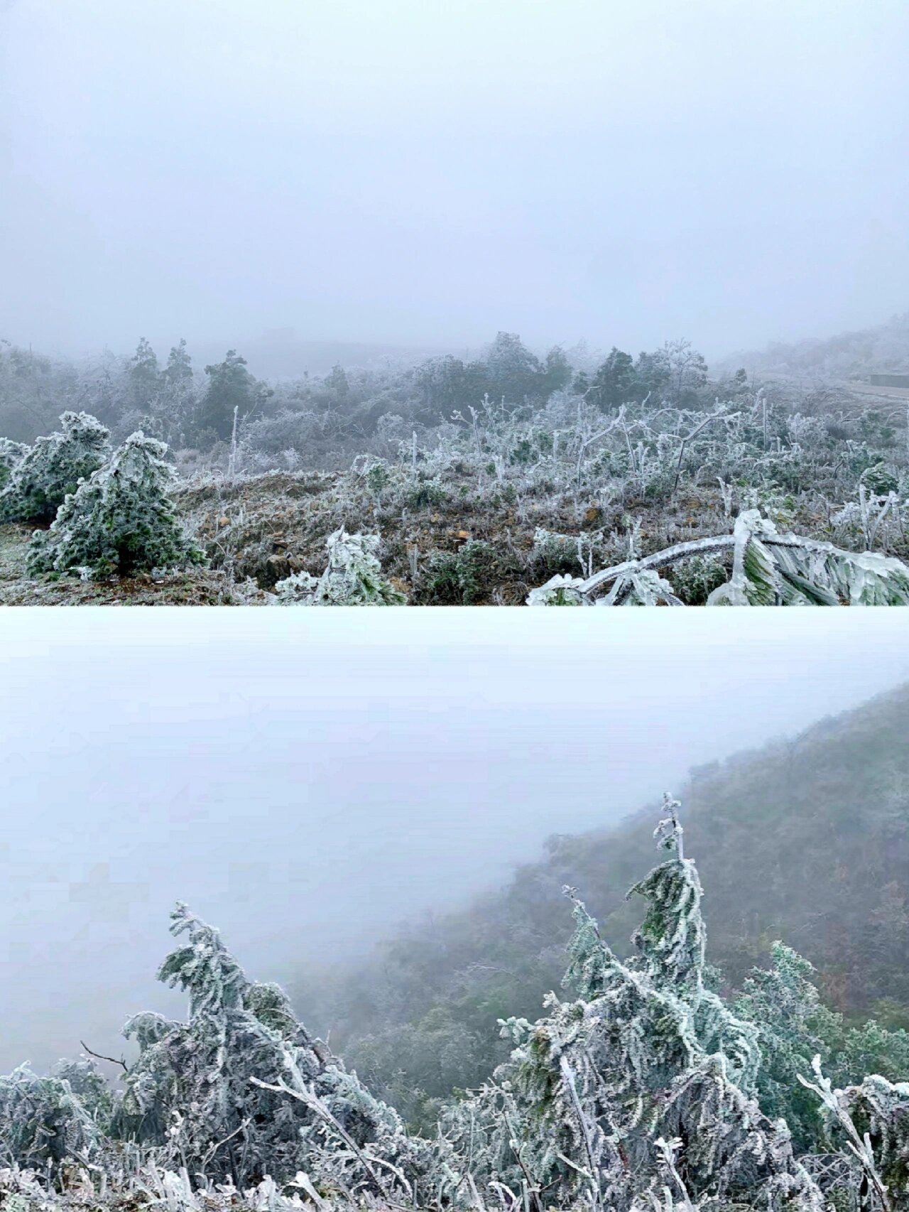 兴安摩天岭海拔图片