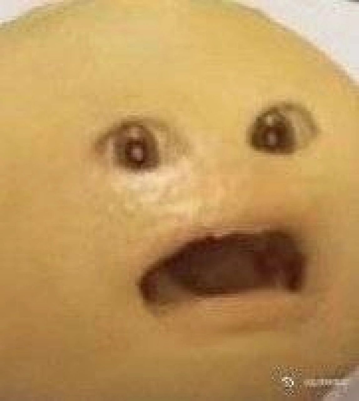 震惊表情包 一些油麦表情包