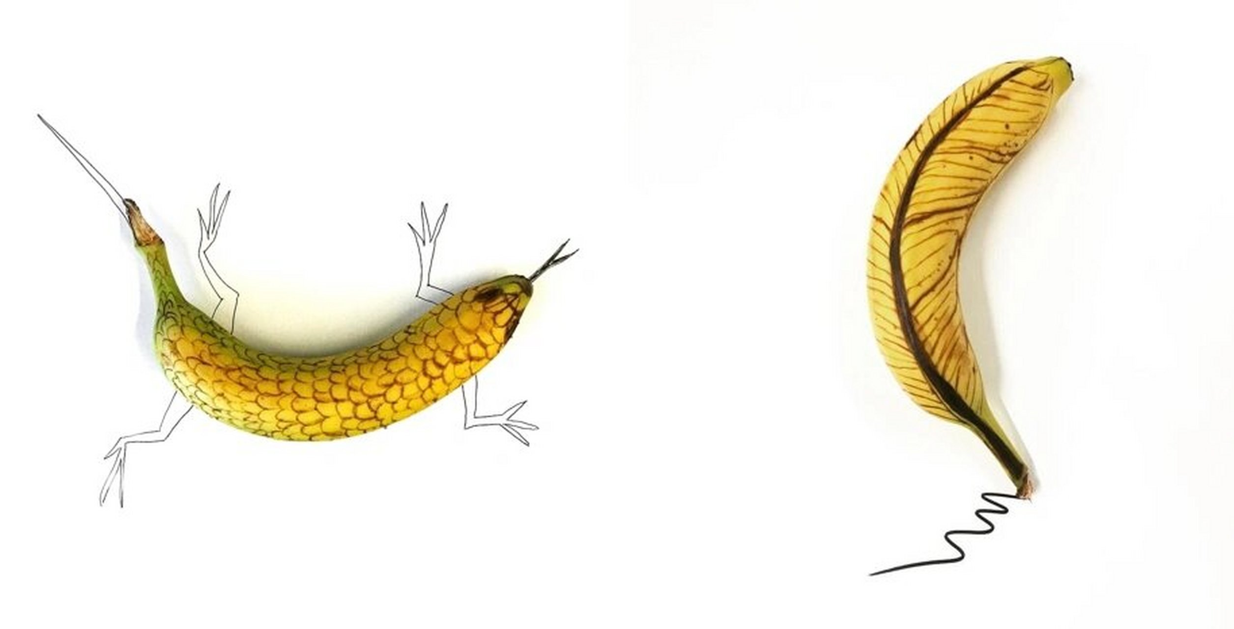 香蕉创意手绘,10个创意设计 每周我们公司办公室都会收到一个水果篮