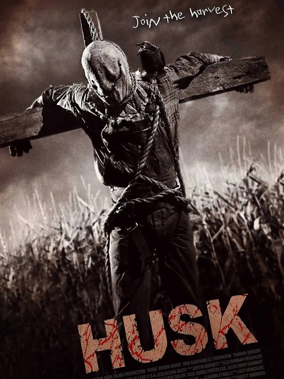 最精彩的稻草人b级片 电影名:《外壳 》husk (2011) 	 剧情介绍:某个