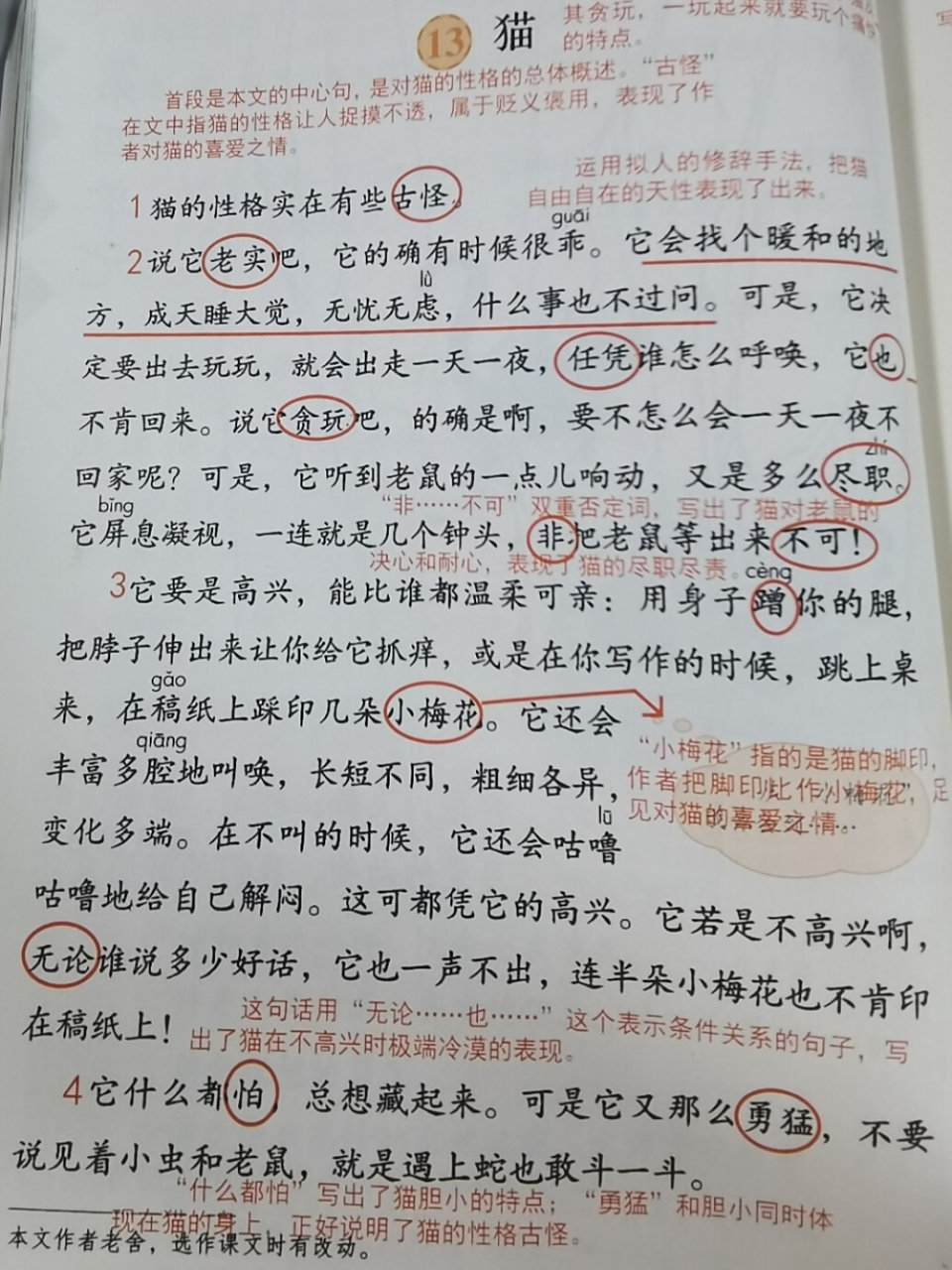 四年级下第13课《猫》预习批注笔记
