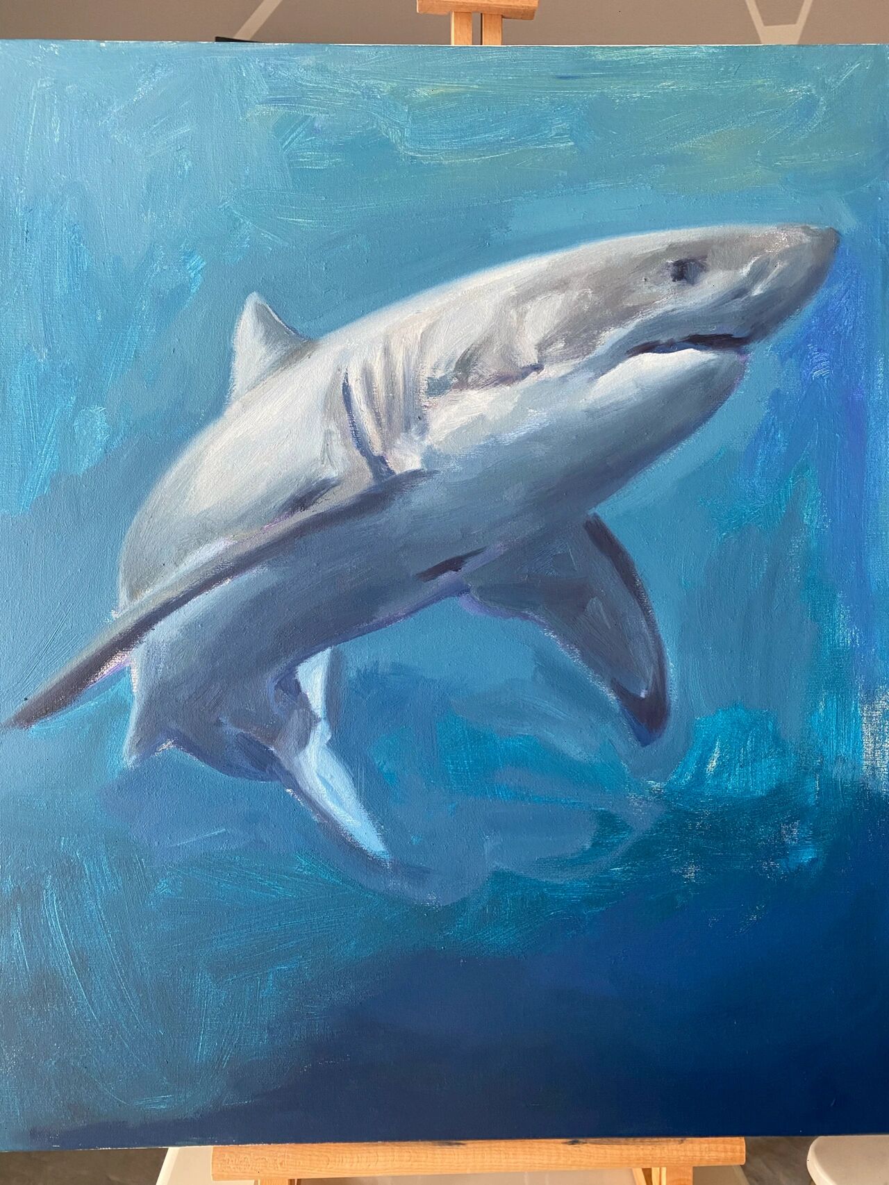 海底总动员的3d鲨鱼(丙烯油画深海教学教程)