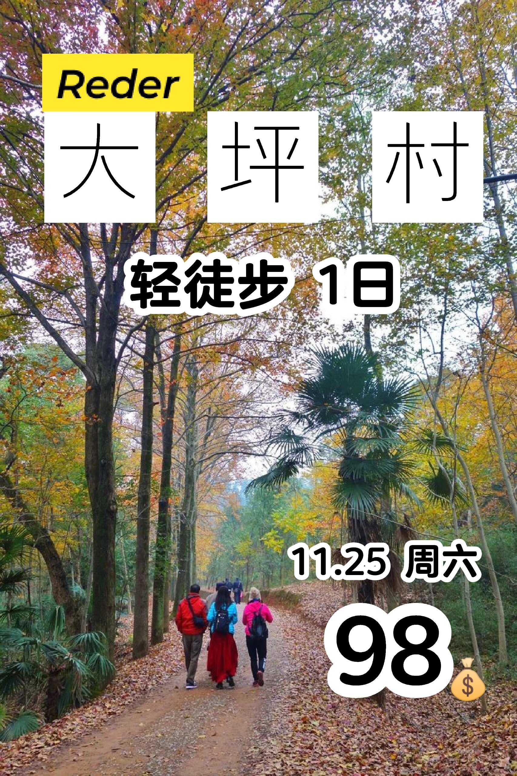 大坪村,藏着少有人知的晚秋彩林