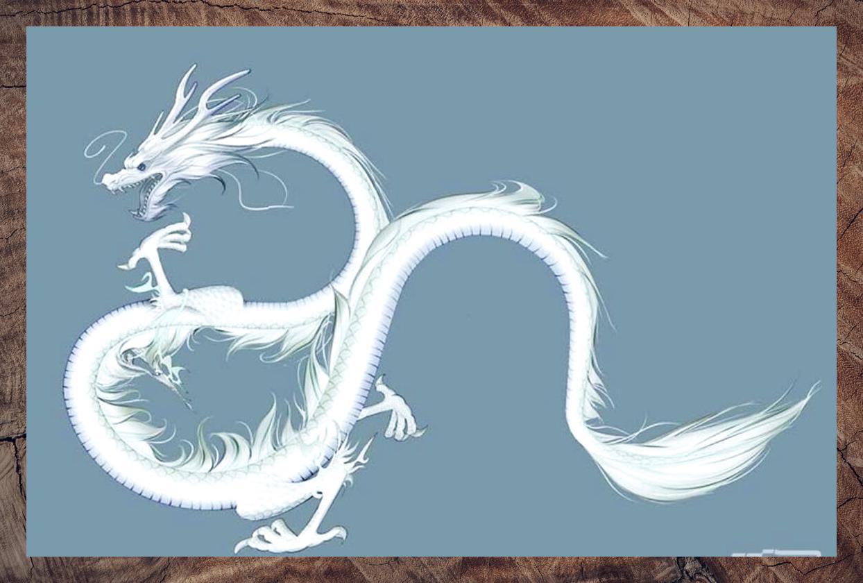 白龙青龙入梦 寓意何为