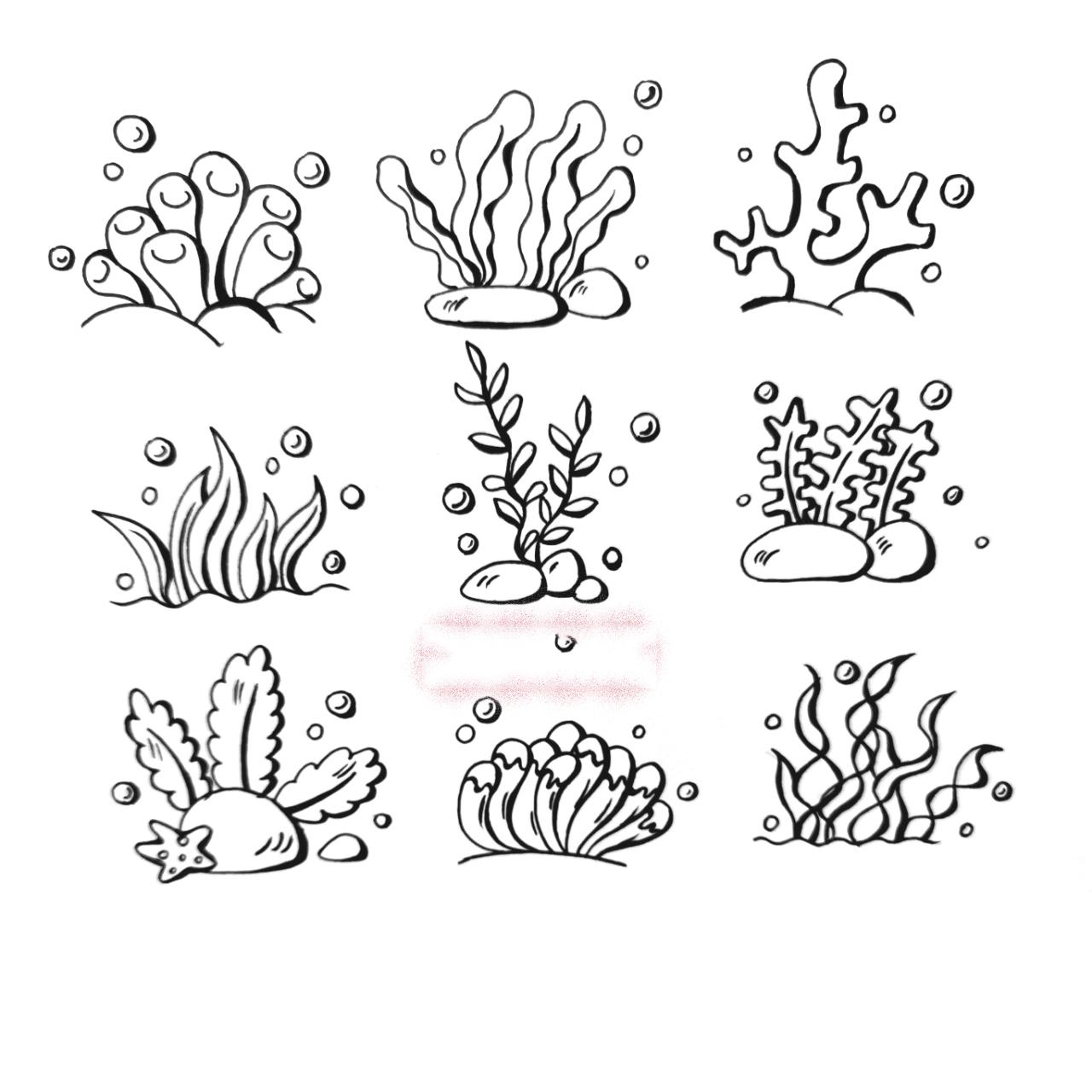 幼教,考编面试简笔画—海底植物大全 纵观历年真题,不管是教资,还是考