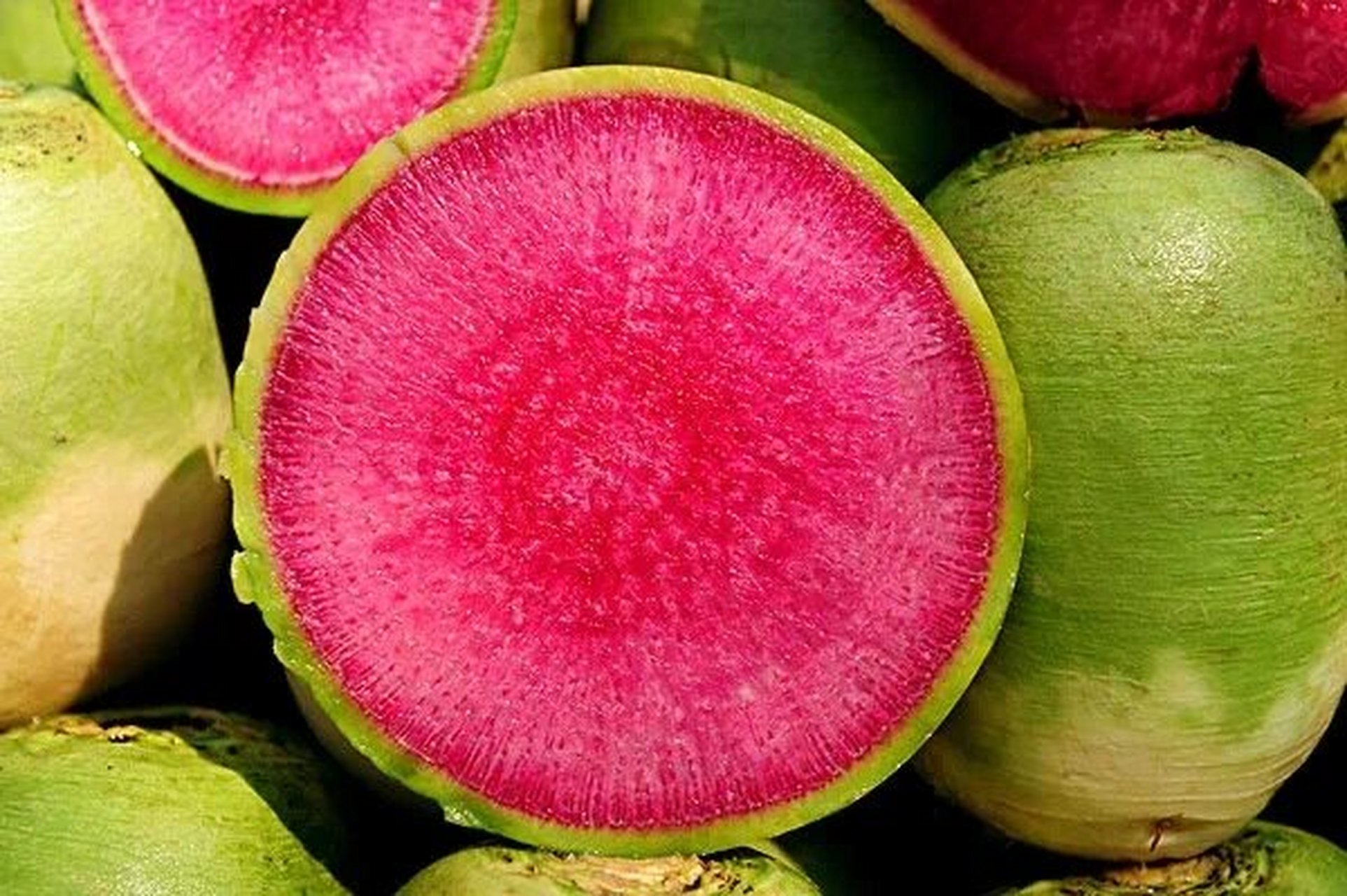 萝卜的功效 红心萝卜的功效 益气开胃,排毒养颜 红心萝卜又名冰糖萝卜