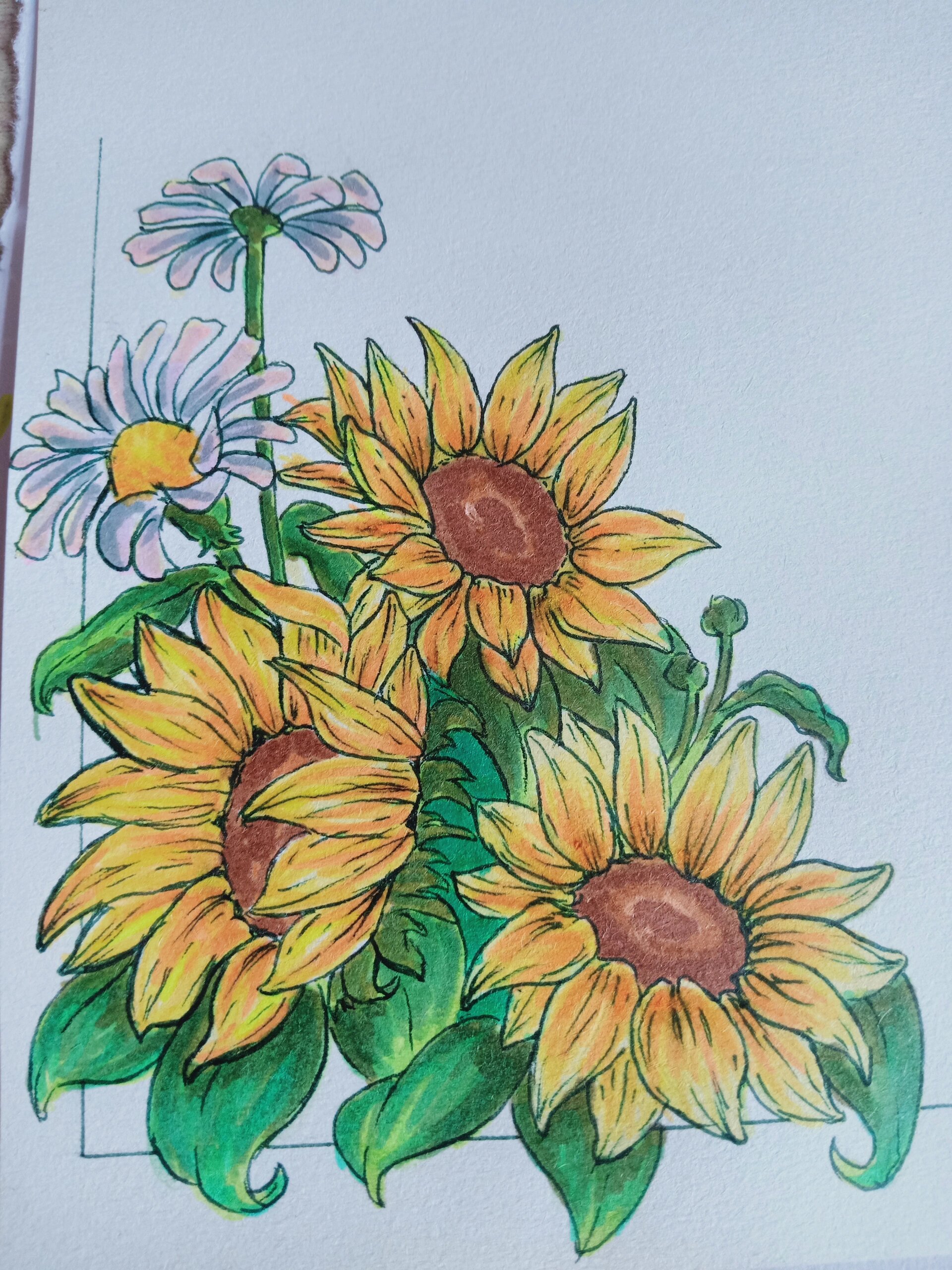 向日葵🌻手绘