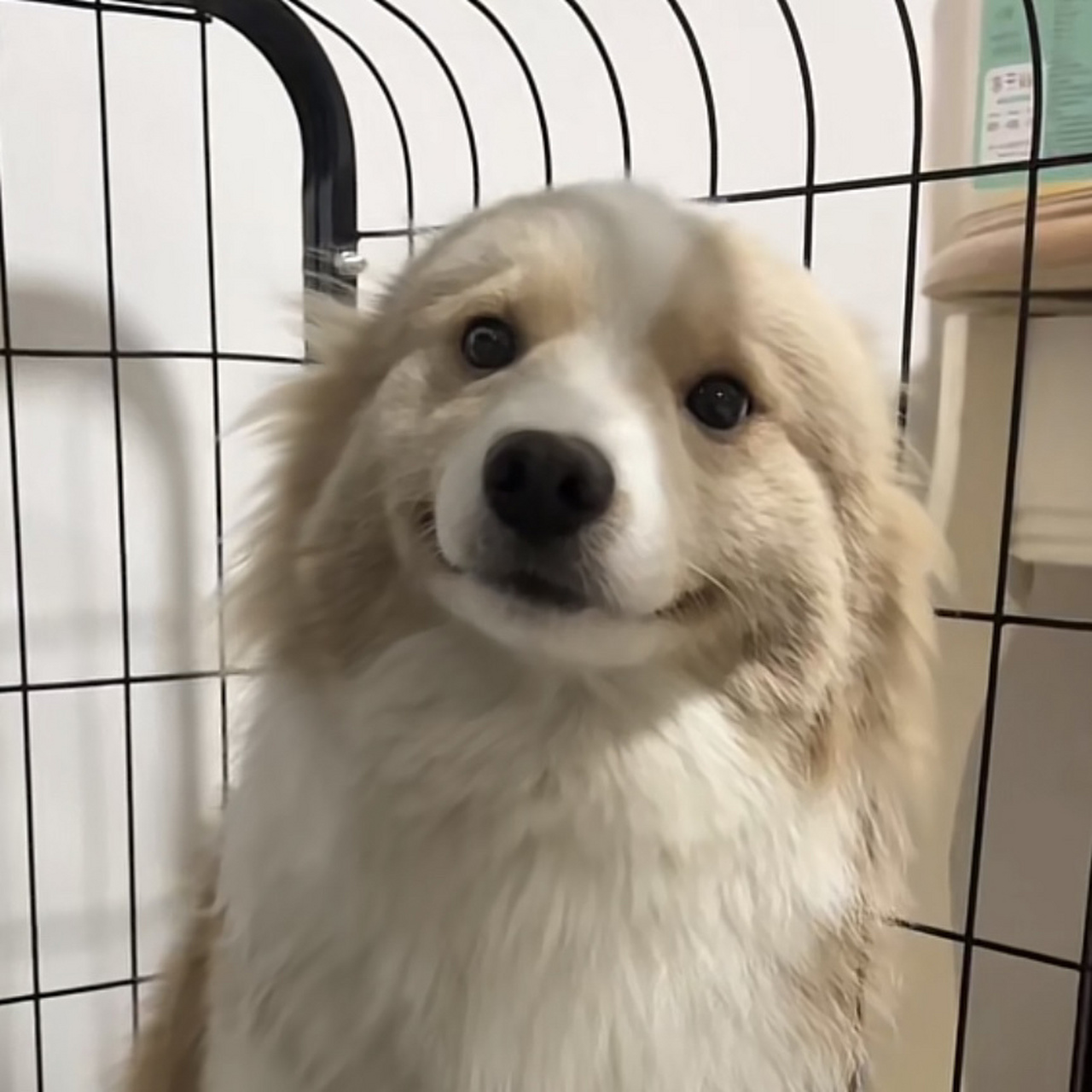 每日一善,阳光信用文案    存一点每日一善和阳光信用的文案