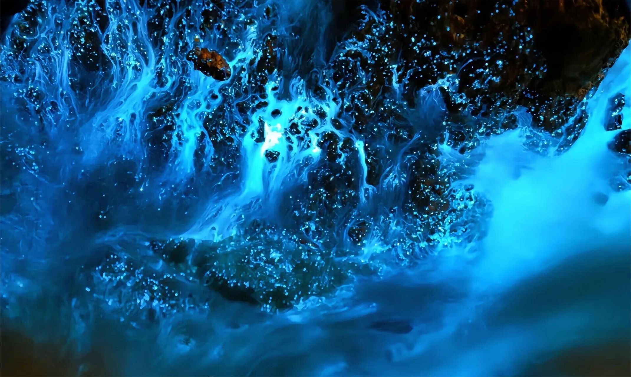 平潭岛蓝眼泪攻略6015浪漫氛围百分百73 平潭蓝眼泪真的是火出