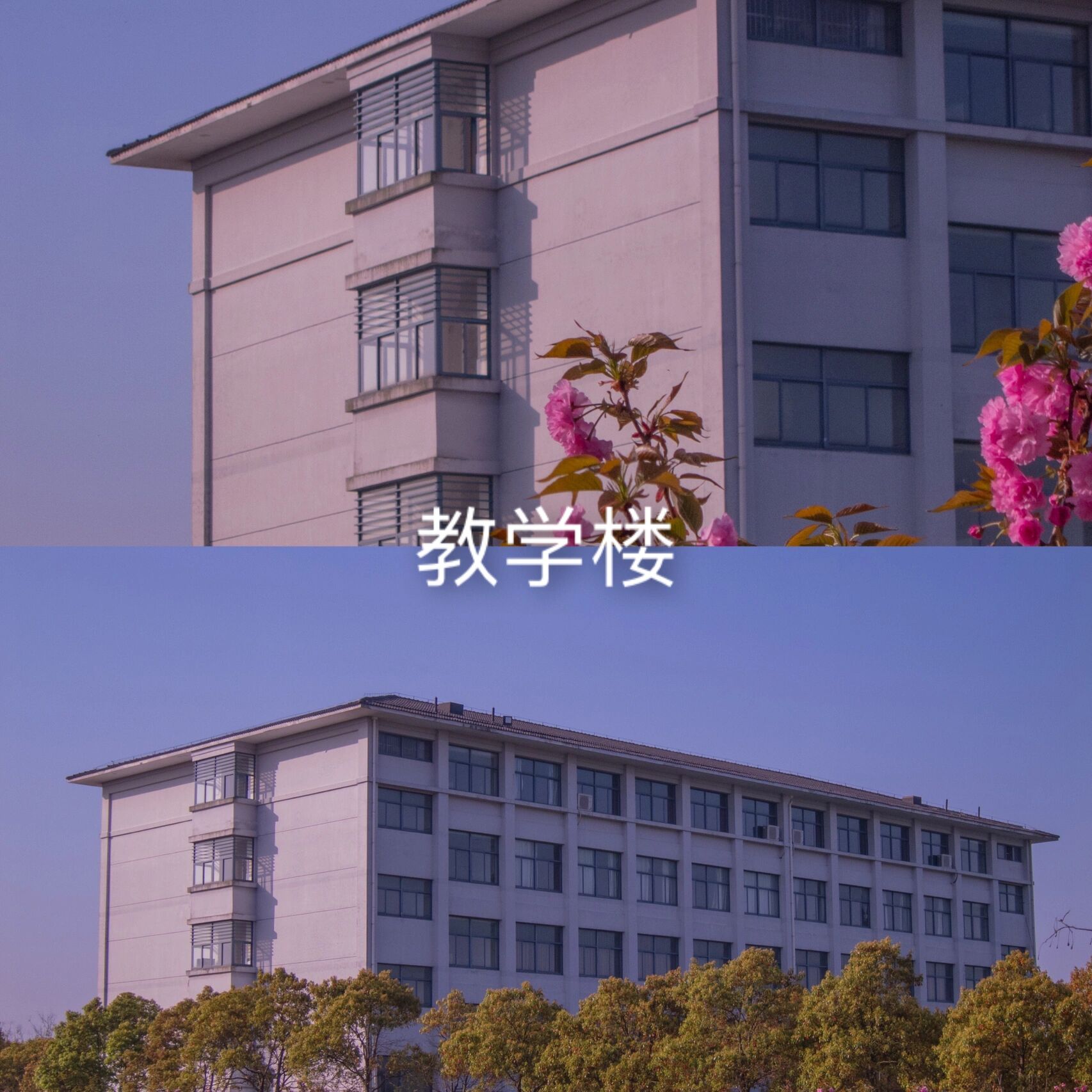 南通职业大学 海门图片