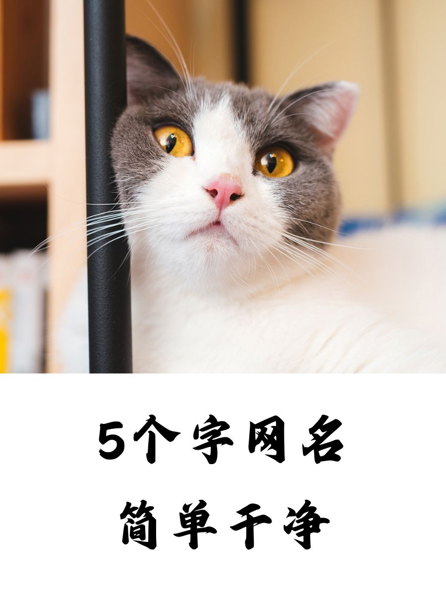 柠檬磁力最新网名=2025磁力猫官网