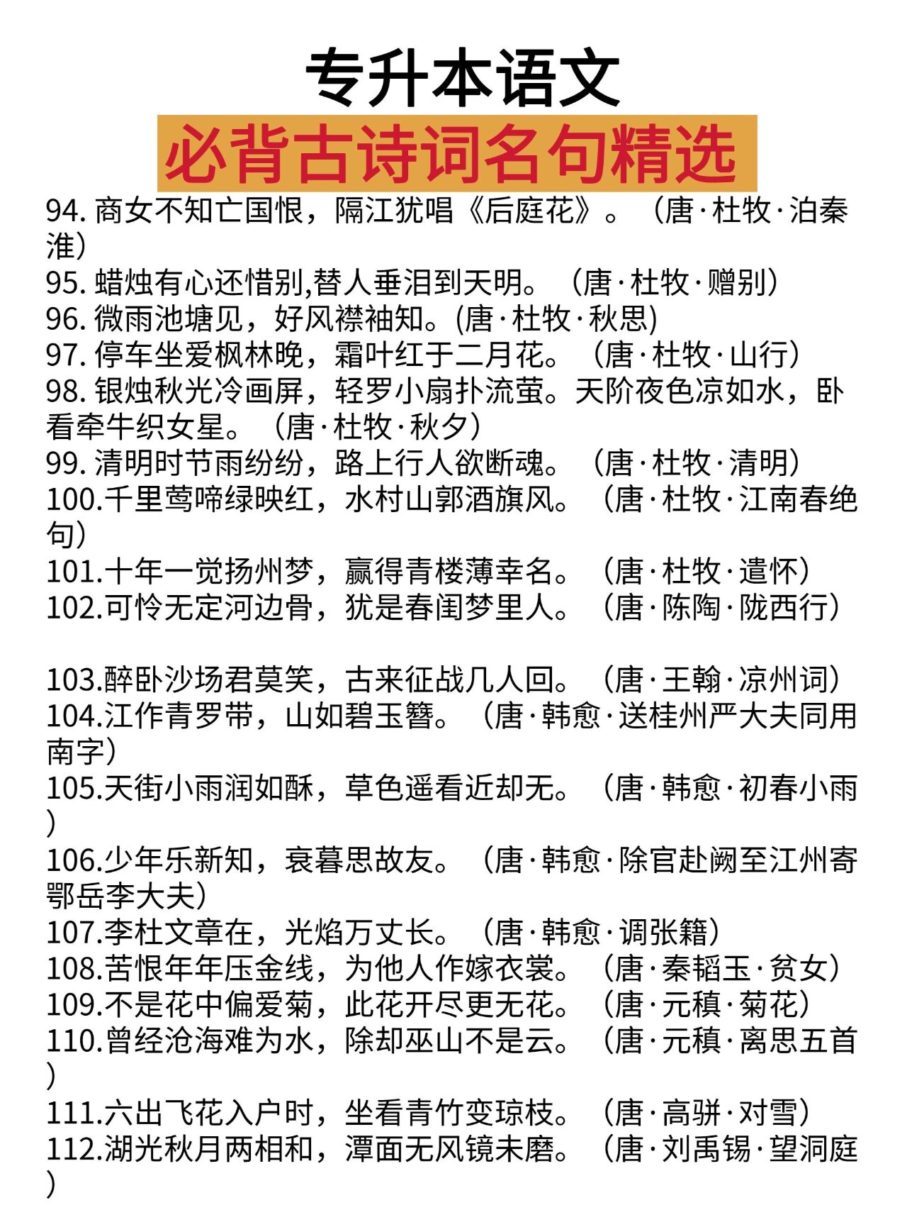 词典网:知识海洋的新航标