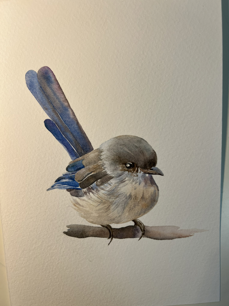 水彩可爱小鸟(附过程图)~ 水彩纸:获多福中粗 颜料:史明克24色