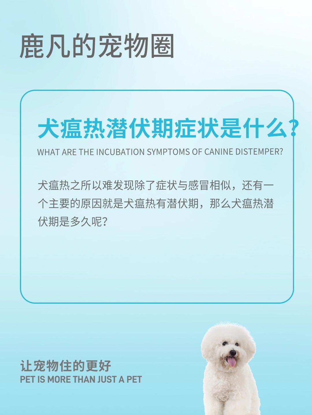 犬瘟热潜伏期症状是什么?来了解下吧