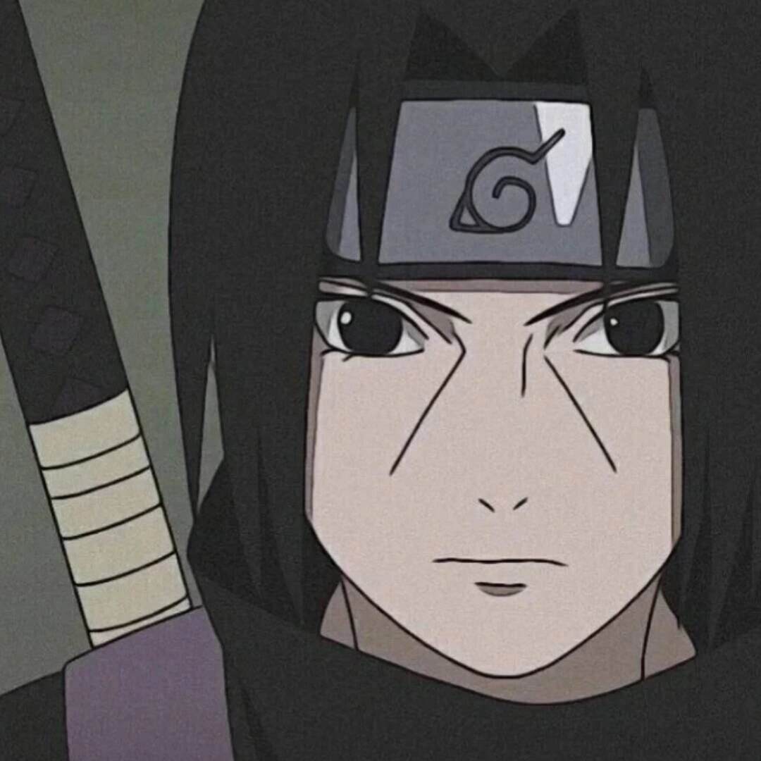 鼬优质头像第二弹