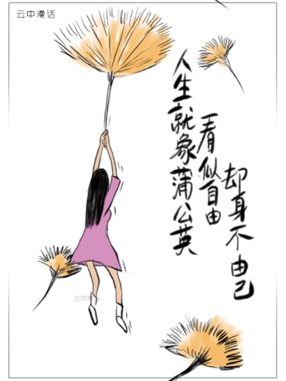 人生就像蒲公英,看似自由,却身不由己 人生就像蒲公英,看似自由,却身