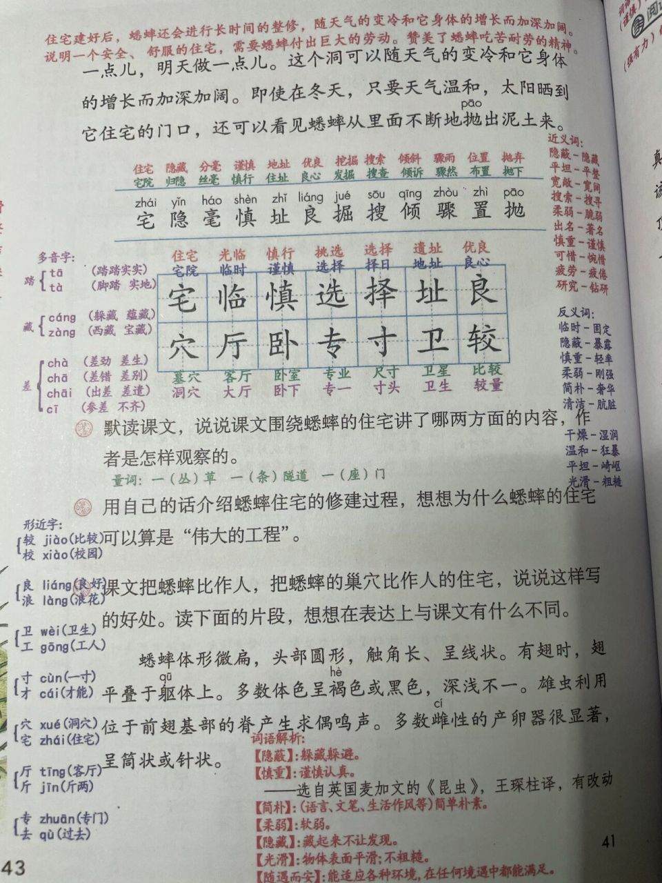 蟋蟀的住宅生字拼音图片