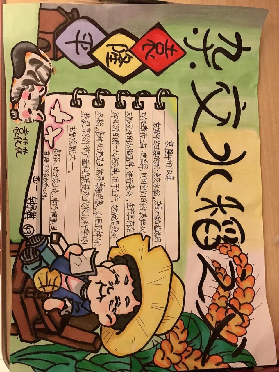 水稻之父手抄报 漫画图片