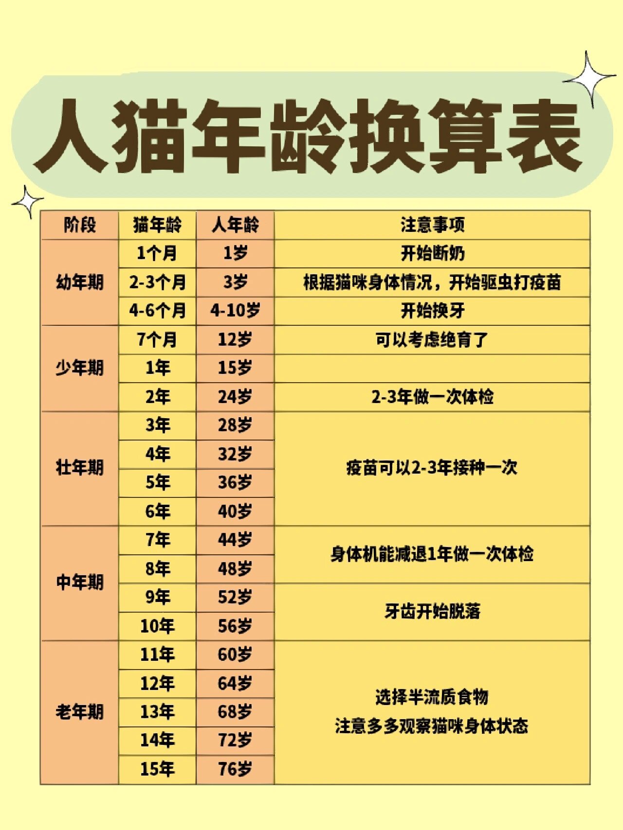 猫咪年龄对照表99快看看你家猫咪几岁啦98