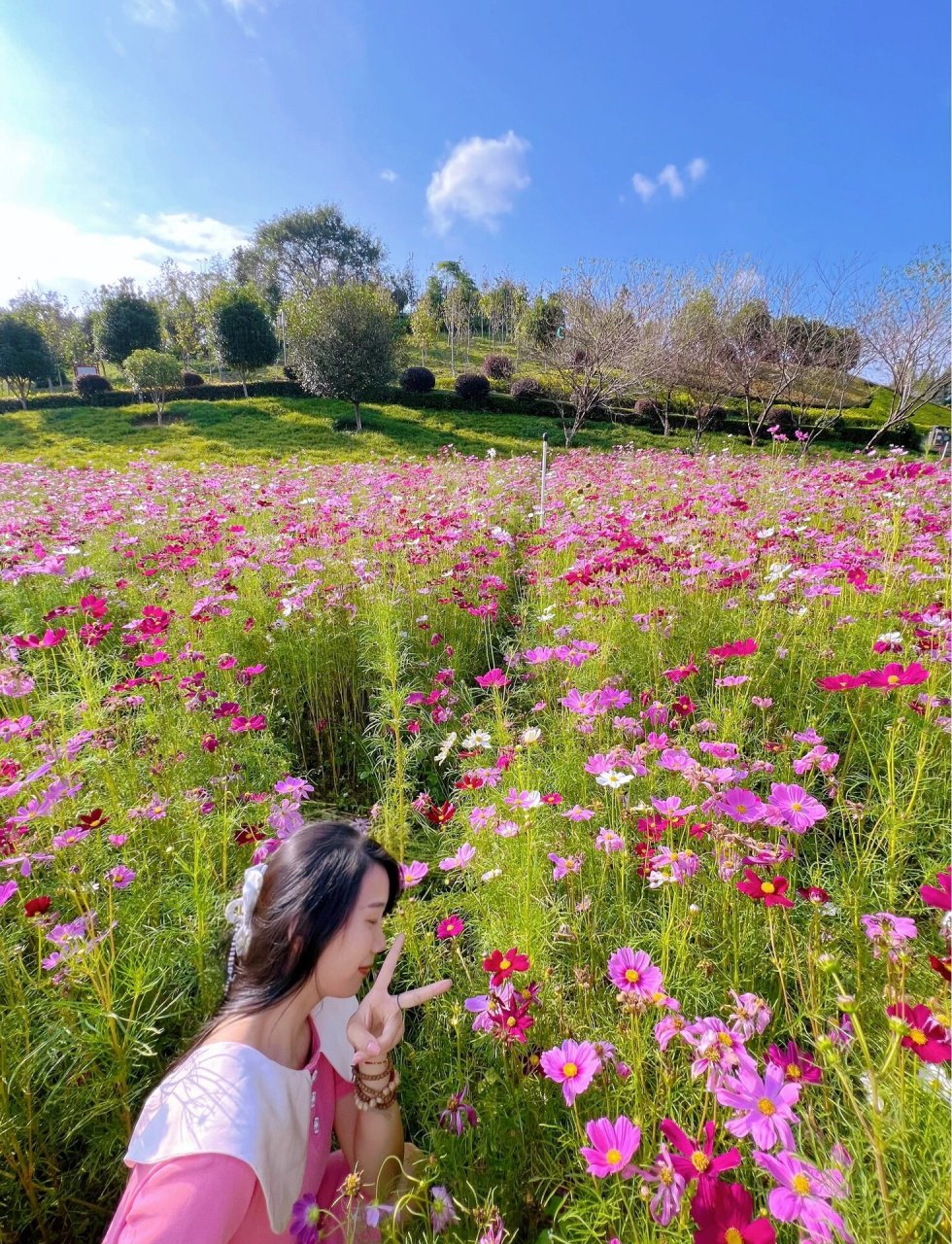 我大寻乌县黄岗山公园的漂亮花海 每次回来都必去的一个地方~风景好
