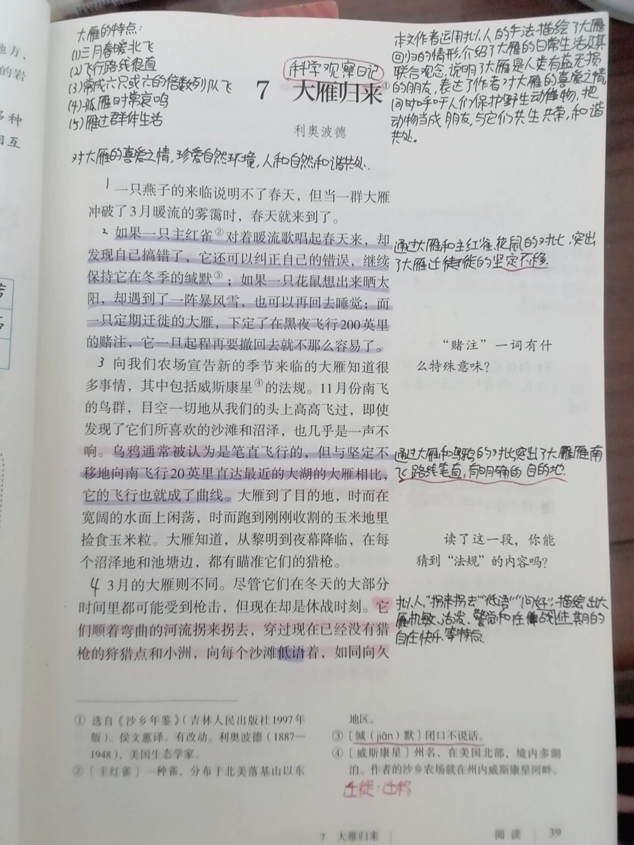 《大雁归来》课堂笔记