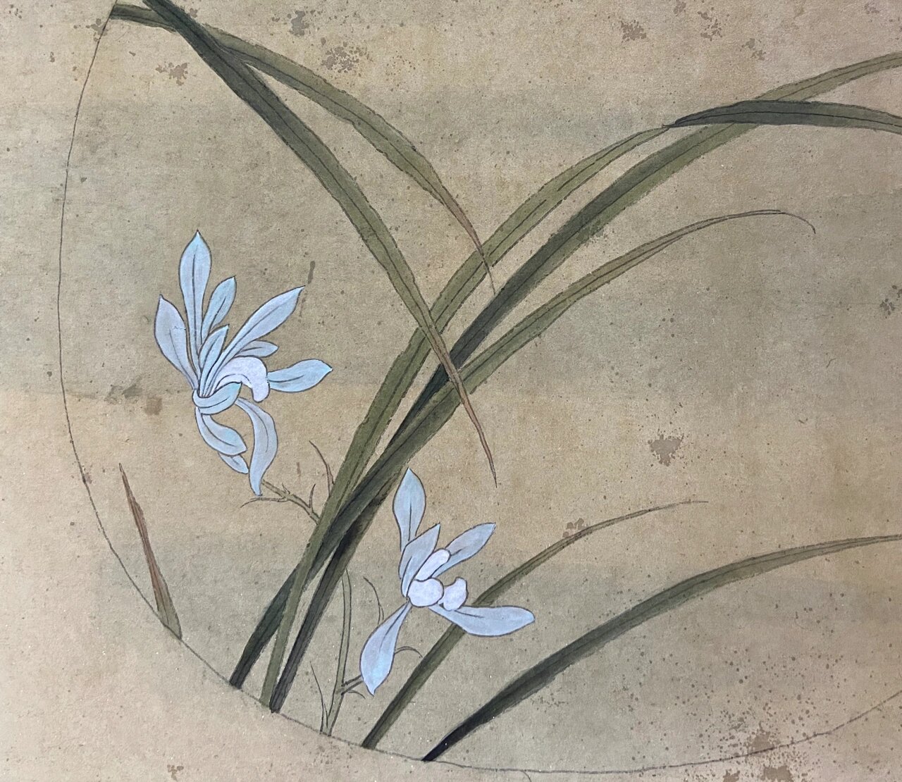 宋画临摹《秋兰绽蕊图》兰花绘画步骤