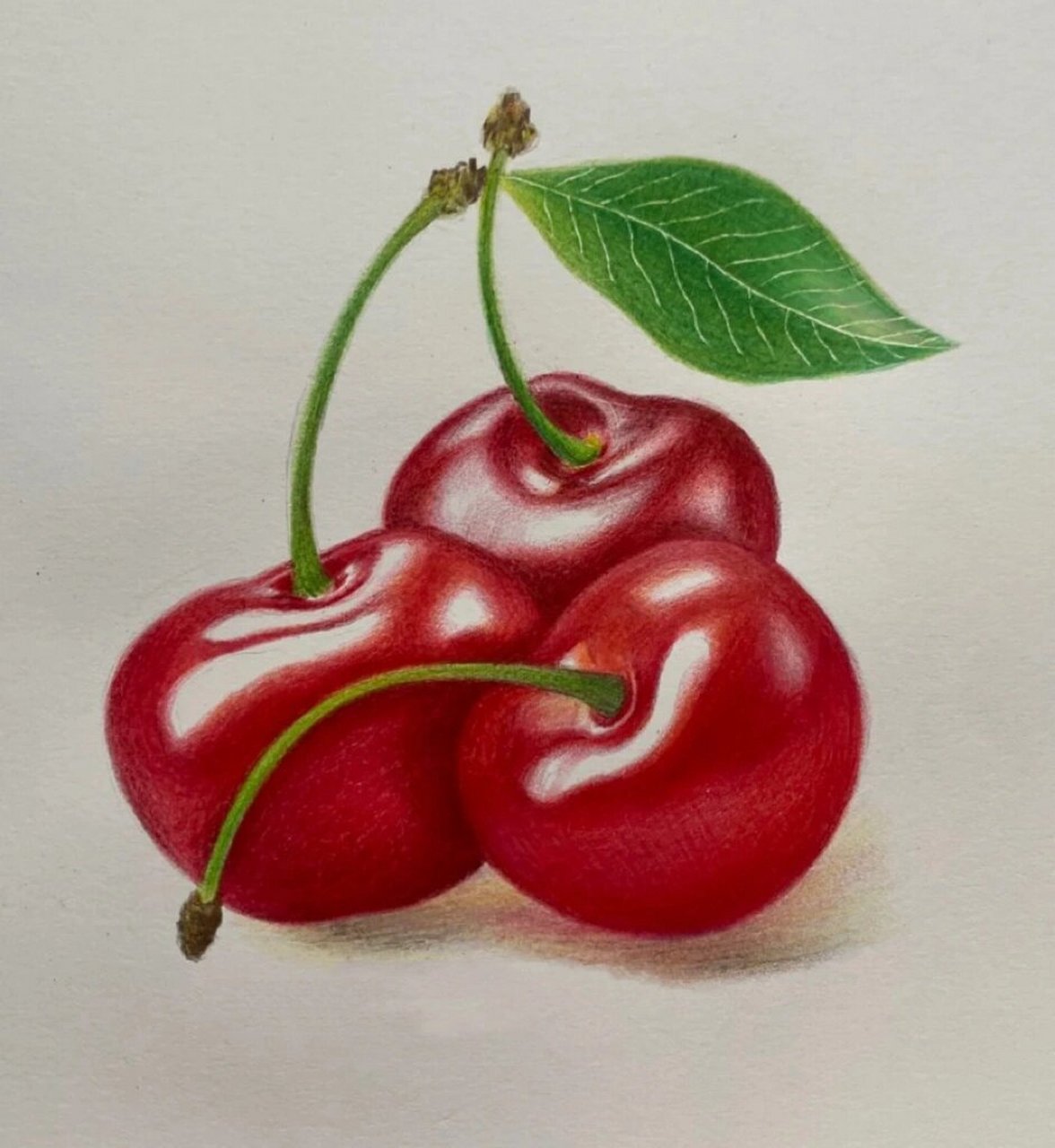 彩铅画-樱桃90 红通通的樱桃请你吃!
