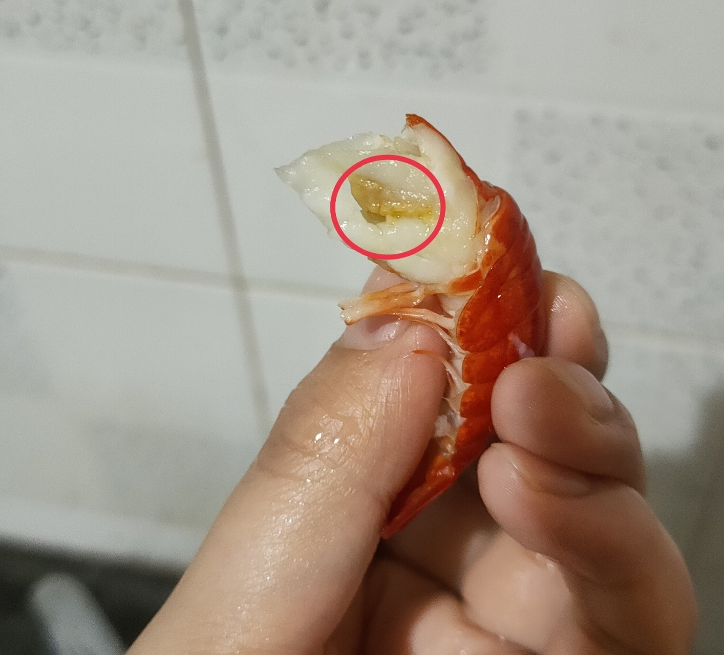 龙虾尾坏了的图片图片