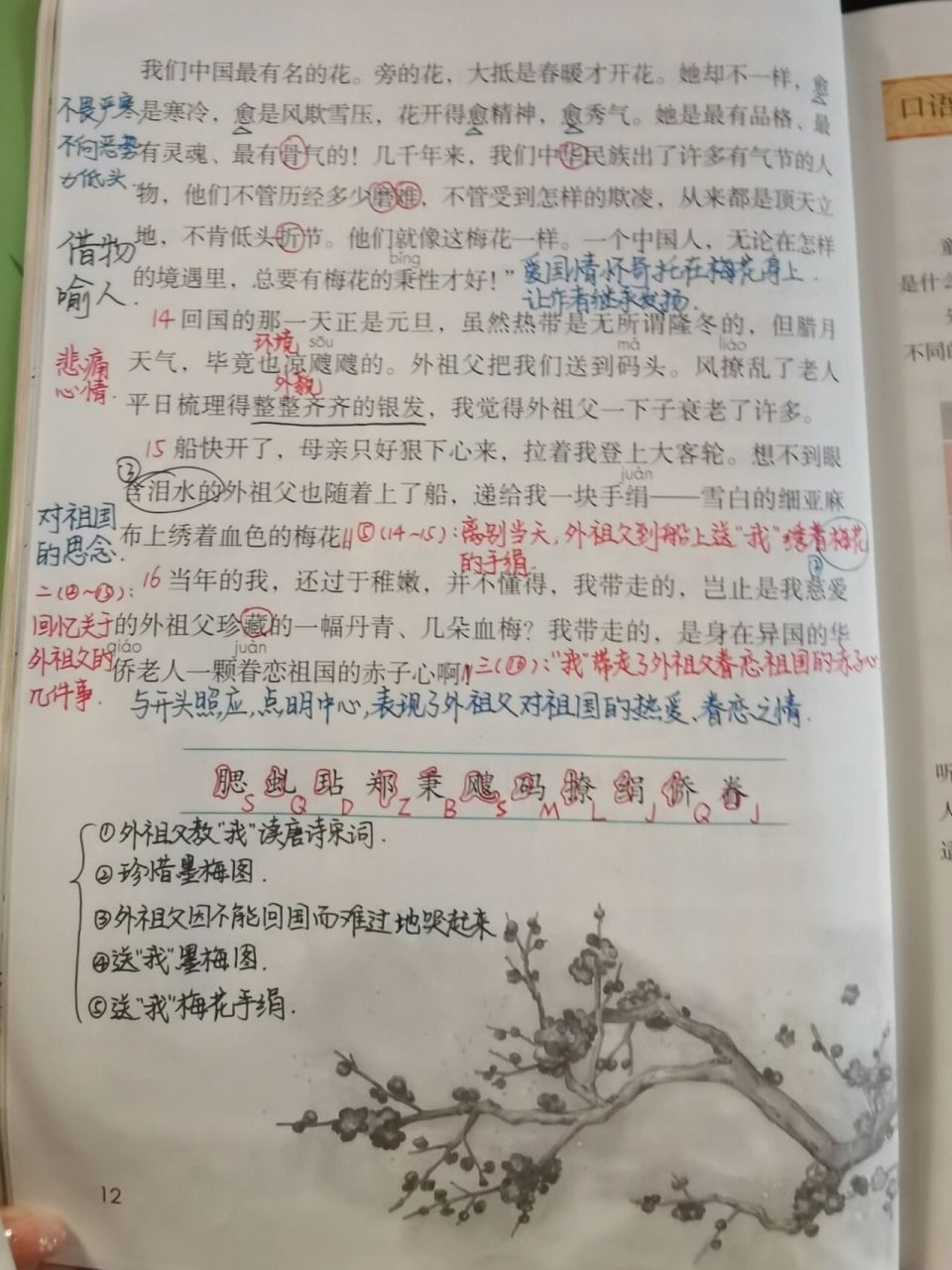 五年级下语文教案课堂笔记第四课《梅花魂》 黑笔固定搭配 红笔圆圈