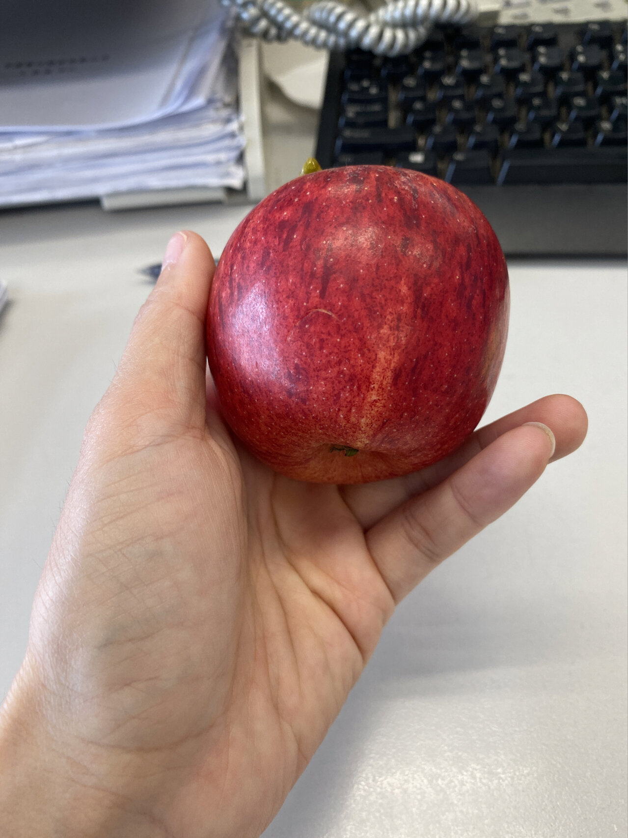 咖喱果不就是硬一点脆一点的小苹果吗