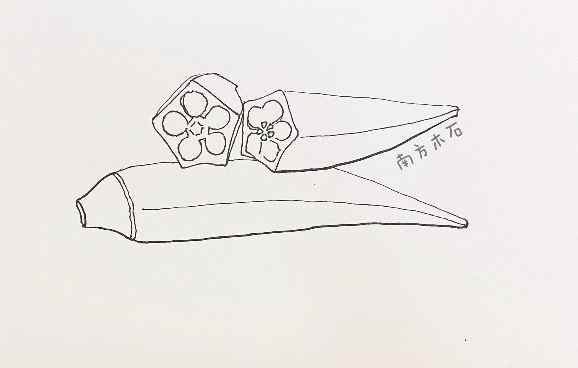 秋葵—写生线描 秋葵写生线描步骤: 1,图片准备 先找一些高清的秋葵