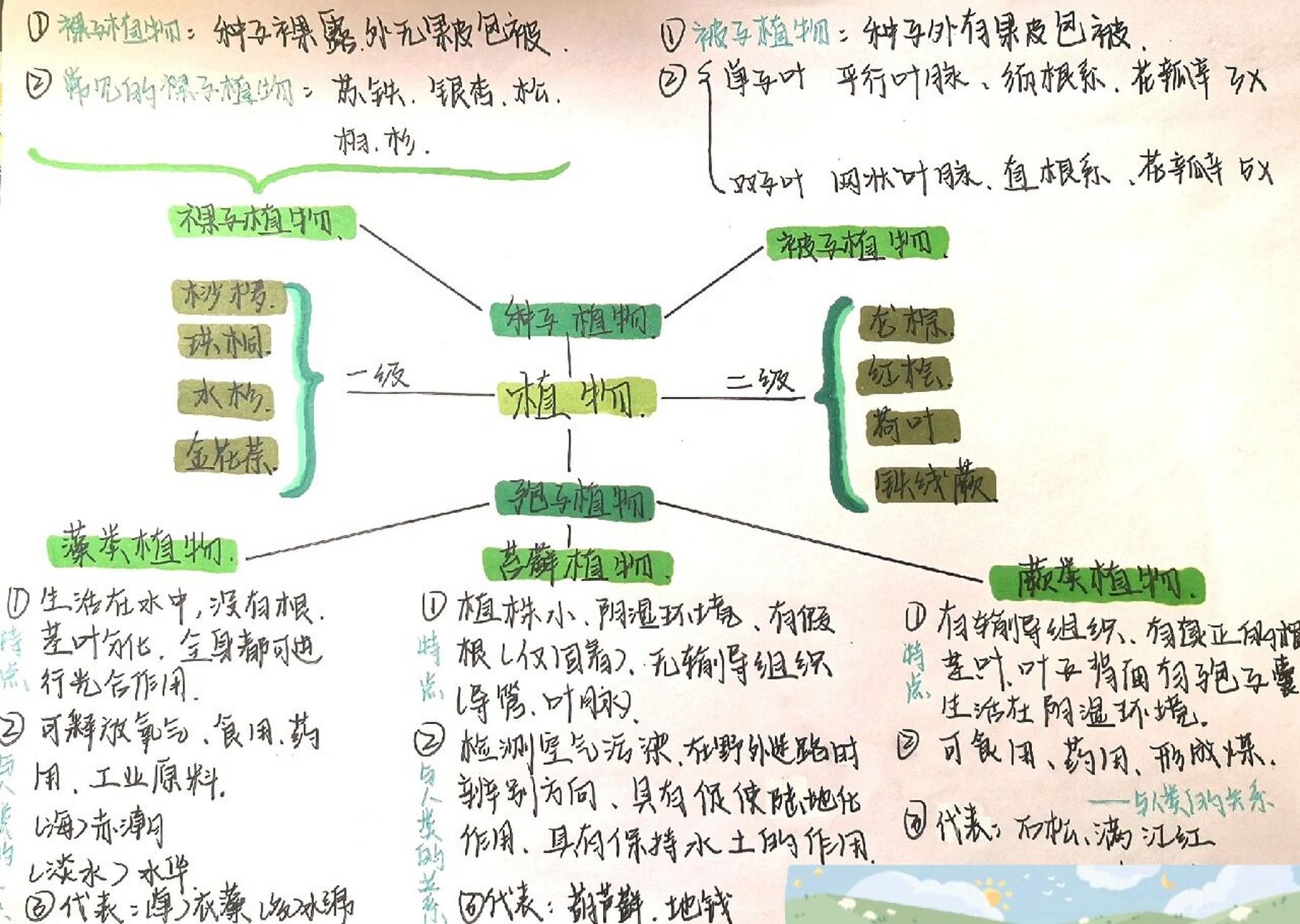 生物八下思维导图(植物,动物,微生物)