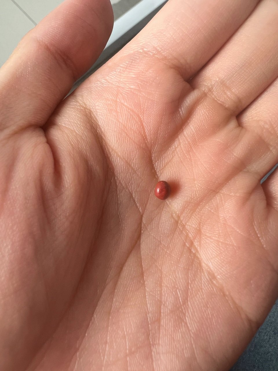 刚刚吃了这个云南白药保险子 感觉现在功力大增