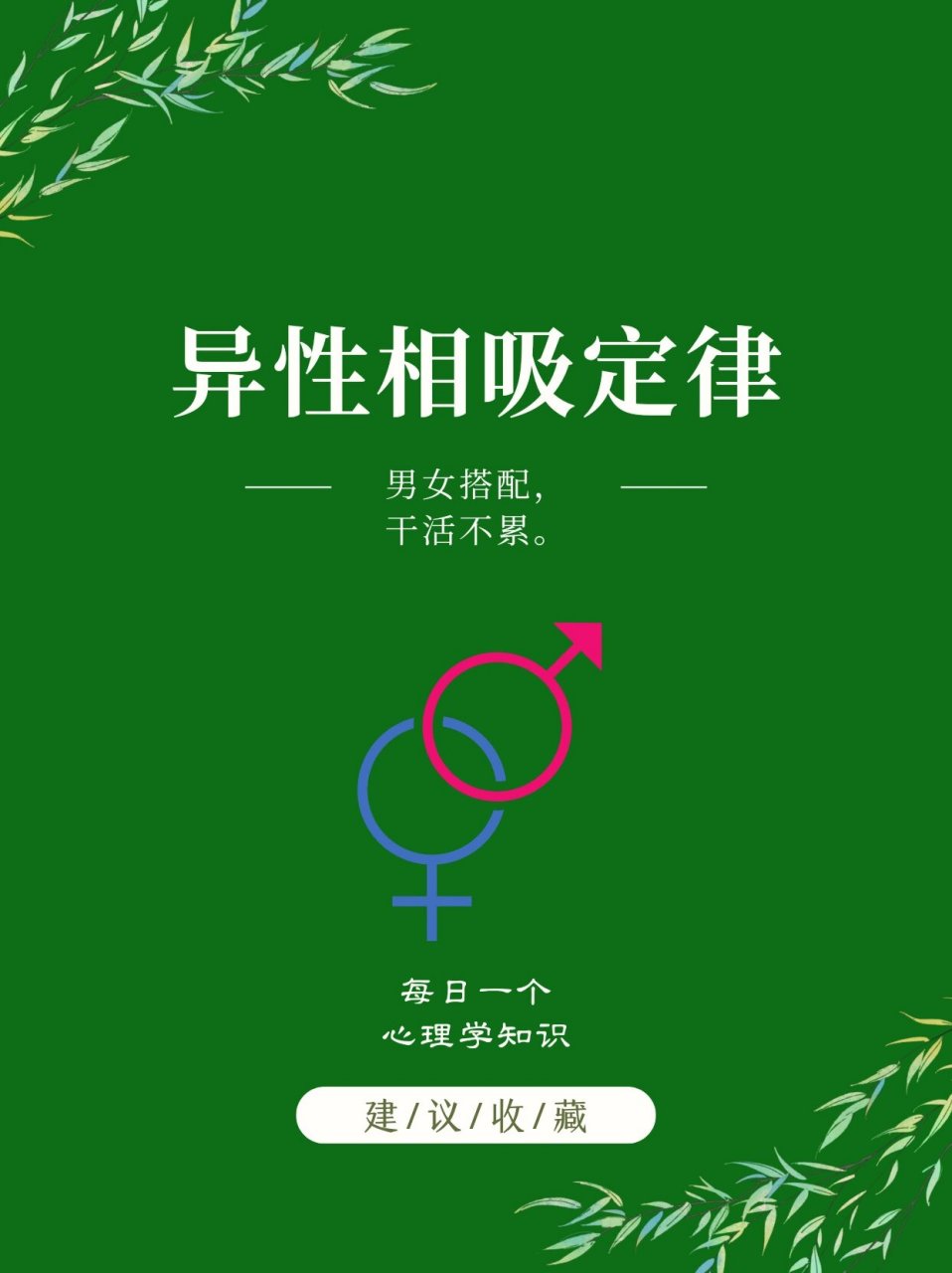 男女异性相吸定律图片