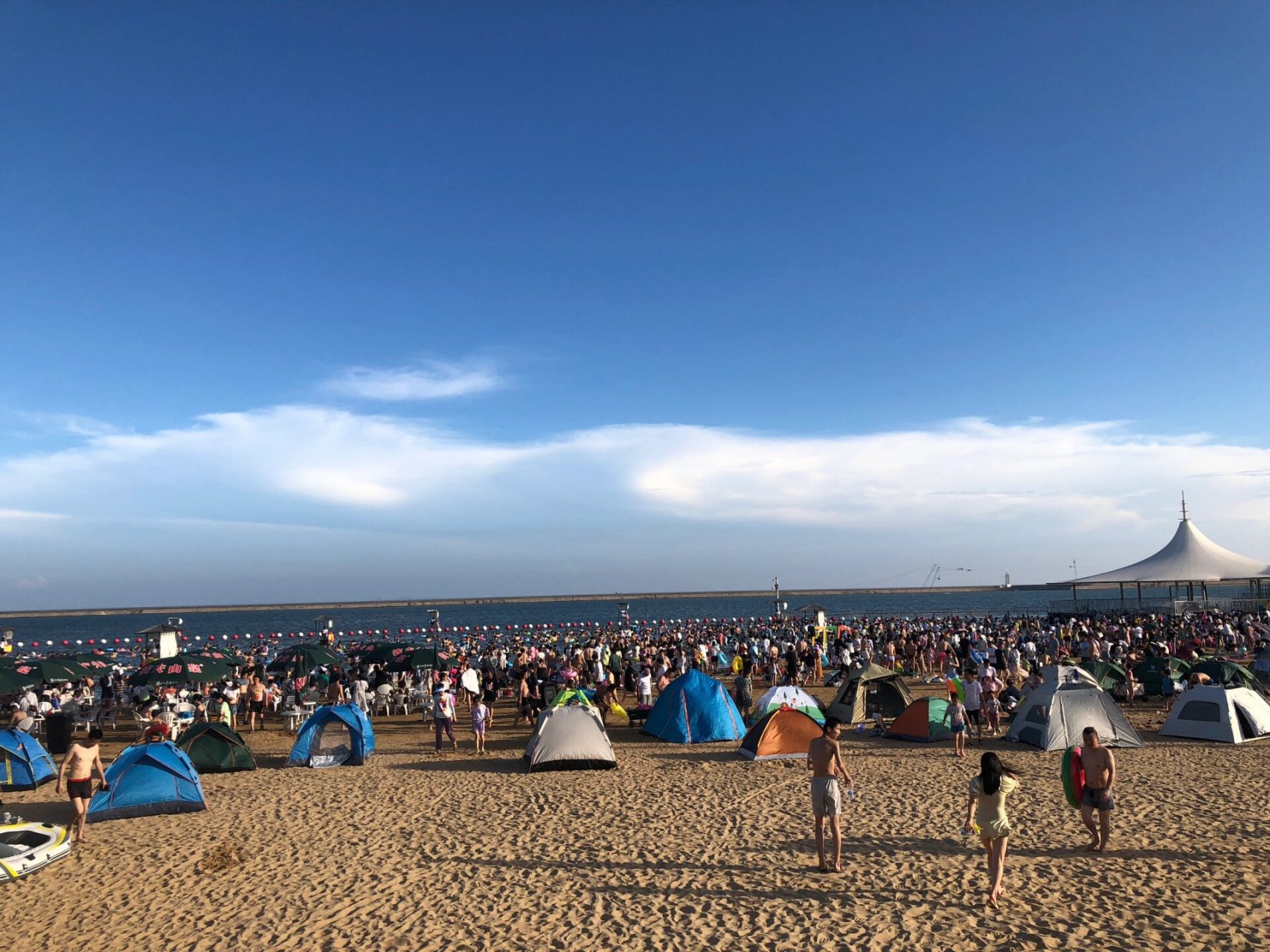 上海的海滩   奉贤 碧海金沙,门票64/人,里面的接驳车没必要买票,直接