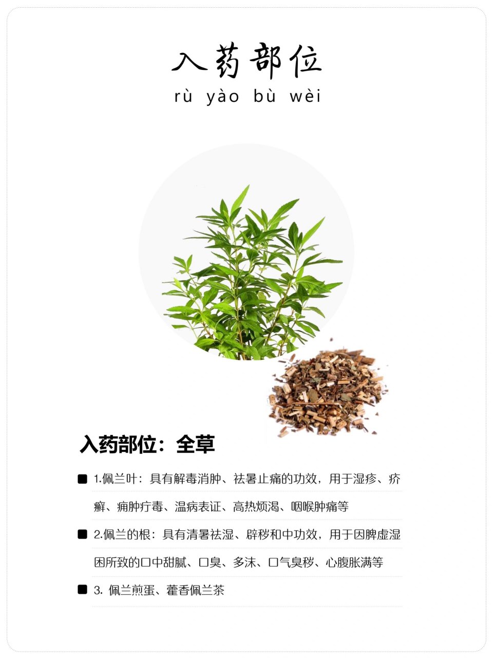 7815佩兰,为菊科泽兰属植物佩兰的干燥地上部分 	 7815【花语