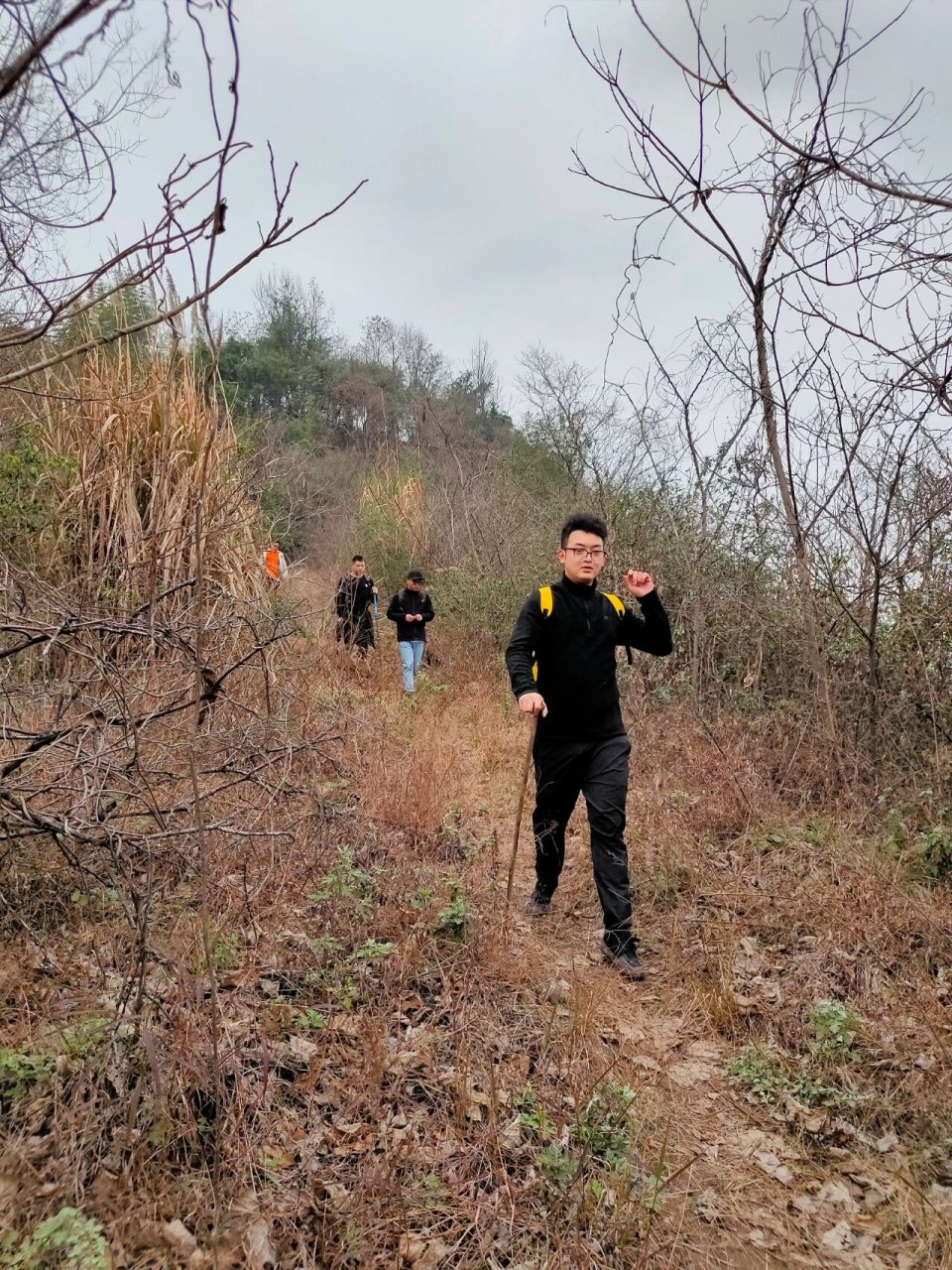 徒步爬山|寨山坪森林公园   每周一山徒步计划