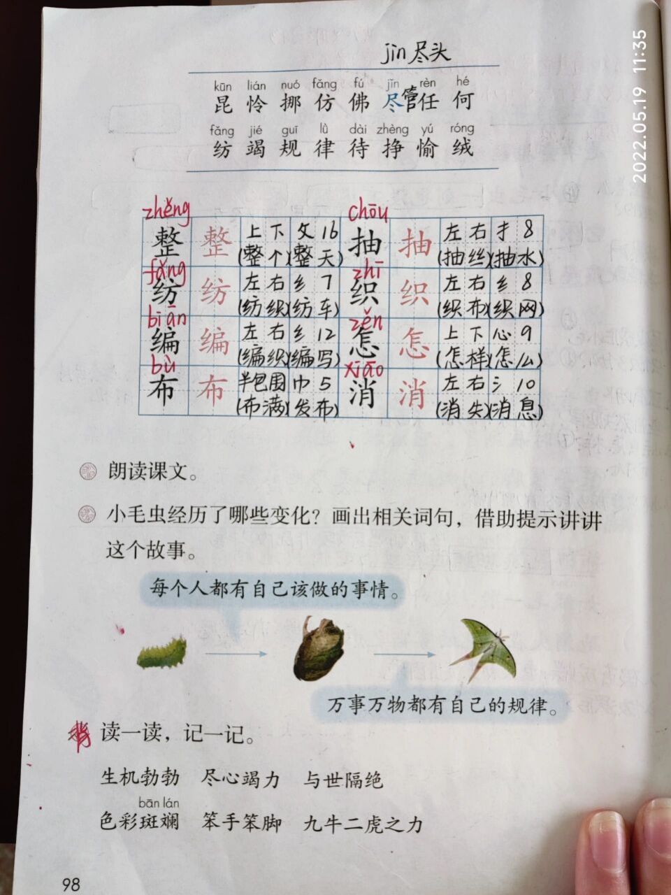 二年级语文下册,22小毛虫