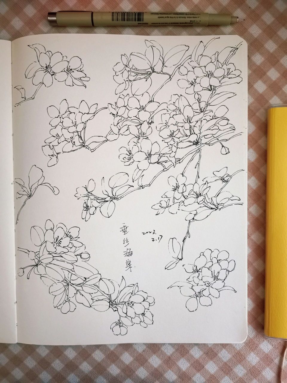 线稿练习,海棠