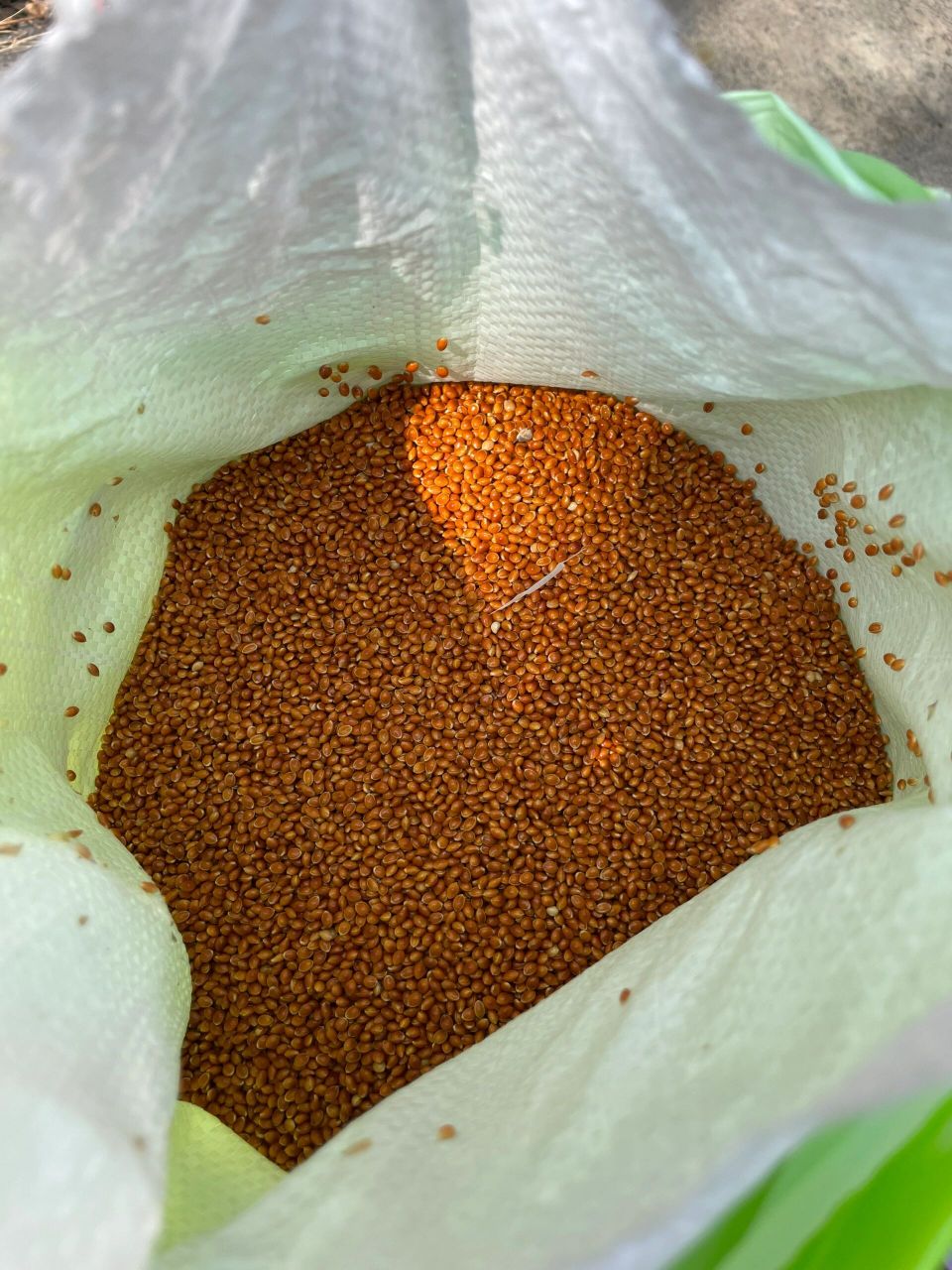 问我材料在哪儿买的,我把购买记录放上来啦 红黍米的这家个人感觉不错