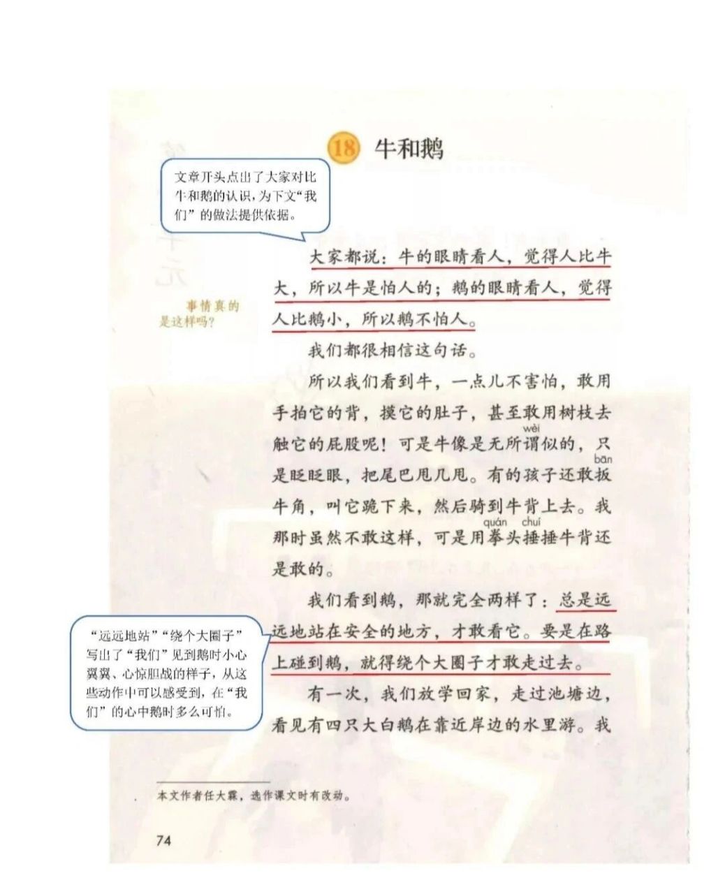 四上第18课《牛和鹅》课堂笔记#小学语文课堂笔记#语文笔记#暑期