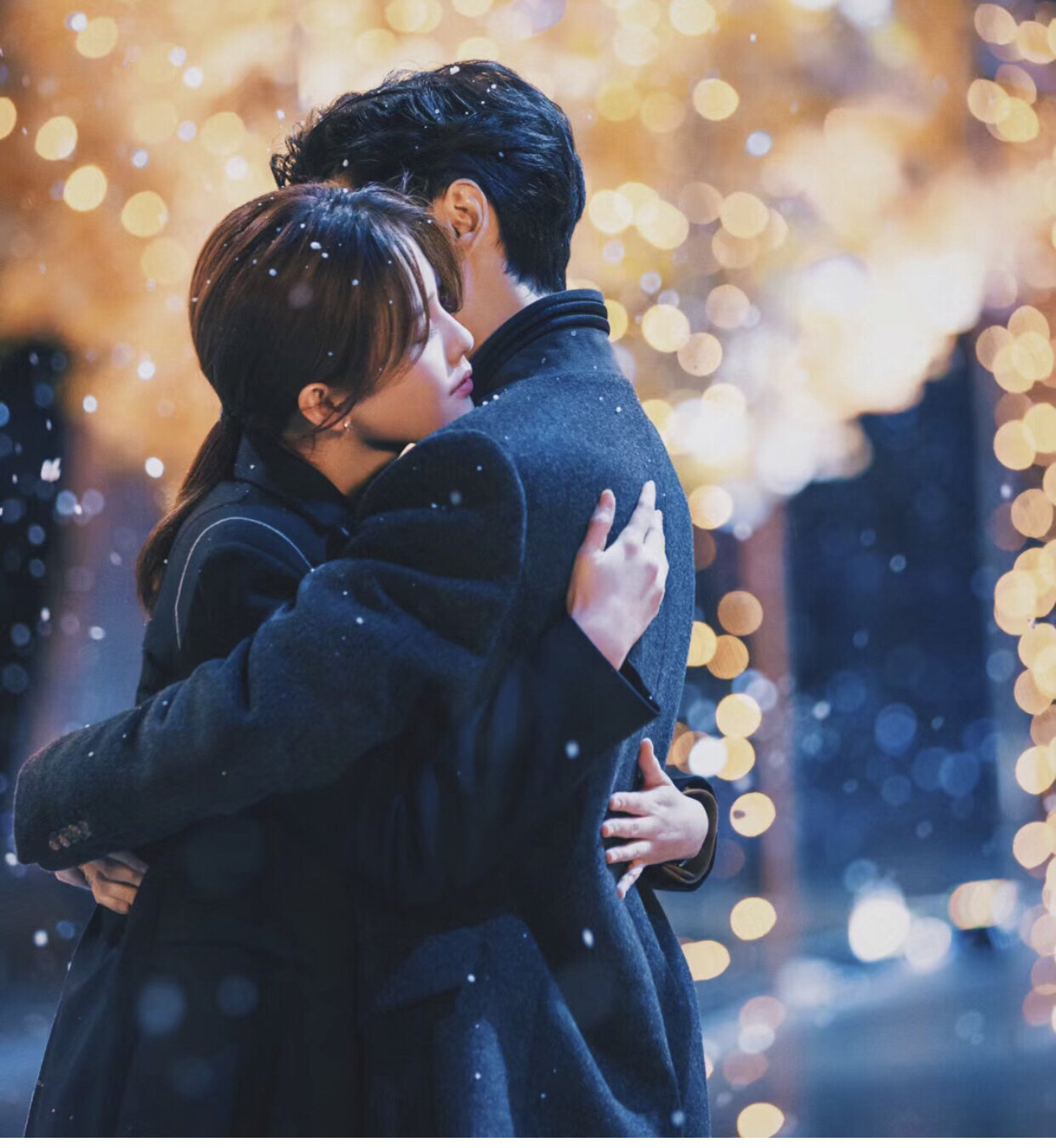 《半是蜜糖半是伤》 罗云熙-袁帅 白鹿-江君