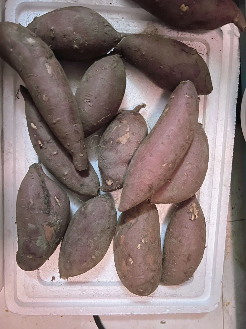 这个品种叫玛莎莉红薯,煮和烤口味都很好,又甜又面,不是很干那种,就是