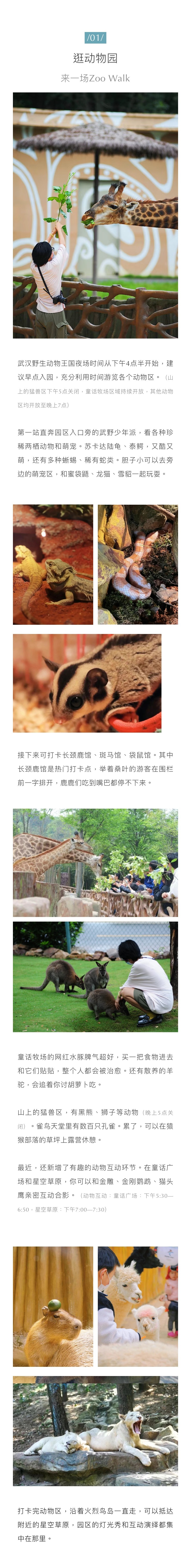 萌宠,灯海,好玩出片】#武汉文旅资讯# 最近,武汉野生动物王国正式开放