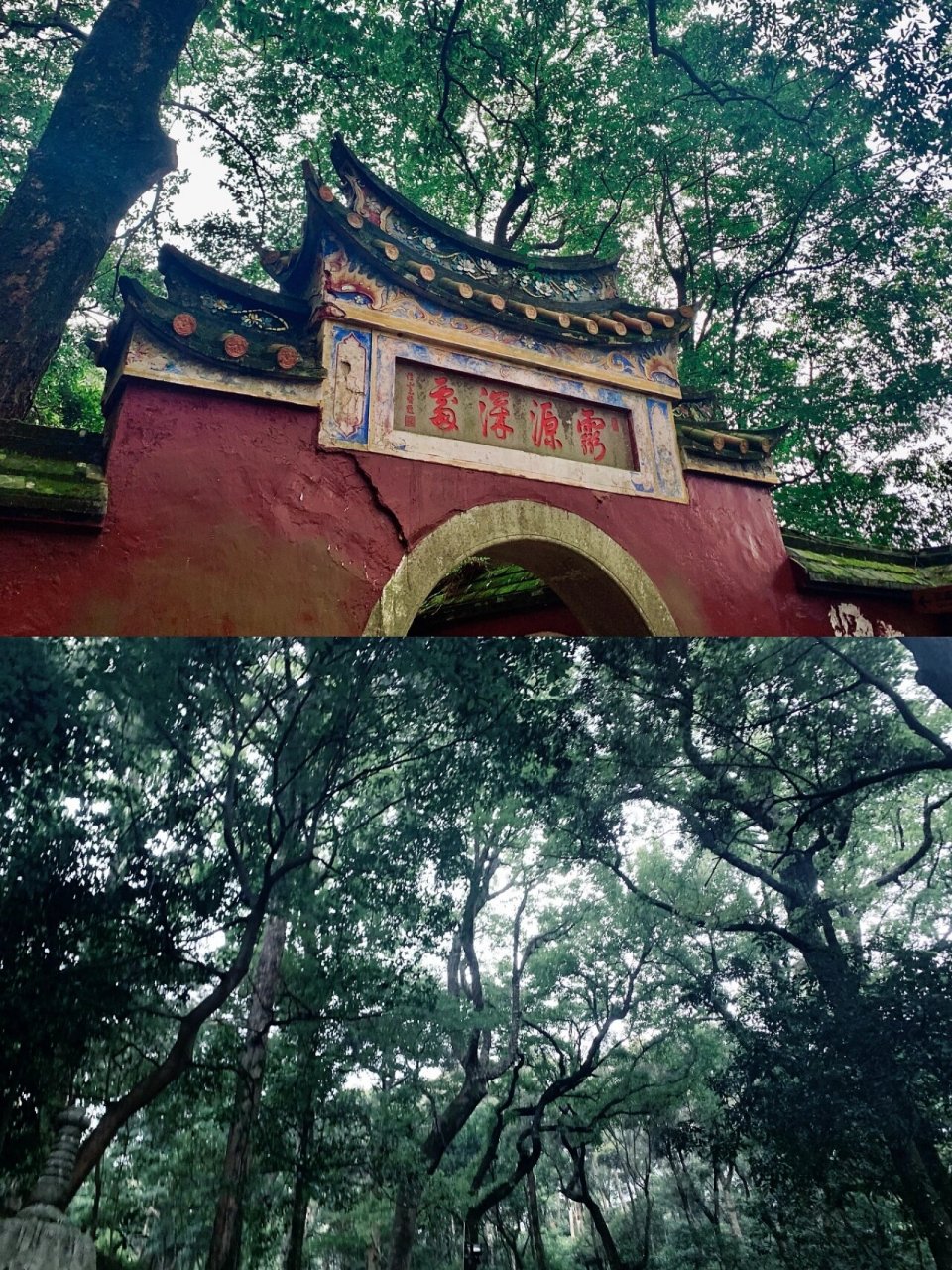 涌泉寺 | 福州鼓山风景名胜区 涌泉寺 99地址 :福建省福州市晋安区